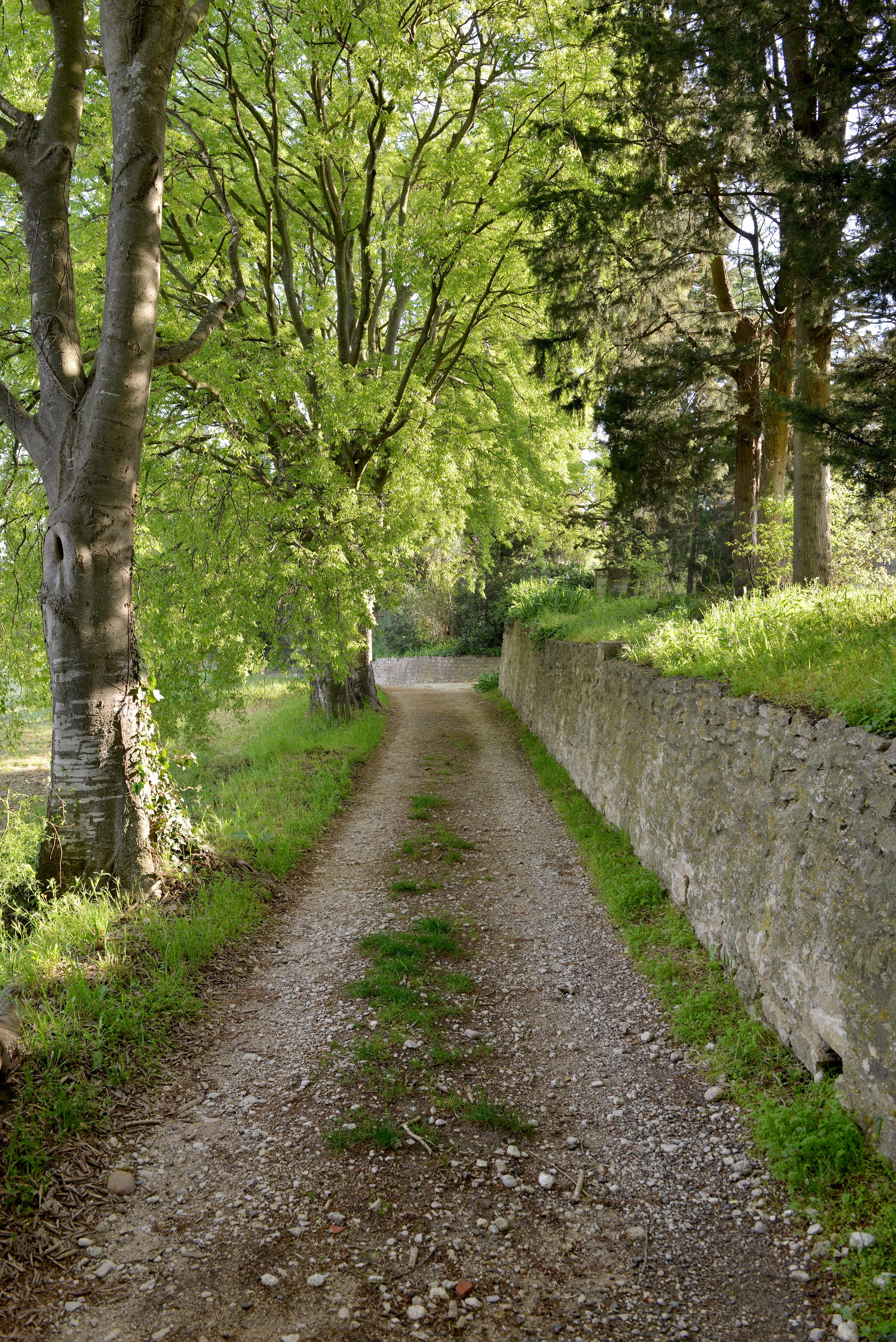 普罗旺斯香薰世家住宅设计-50