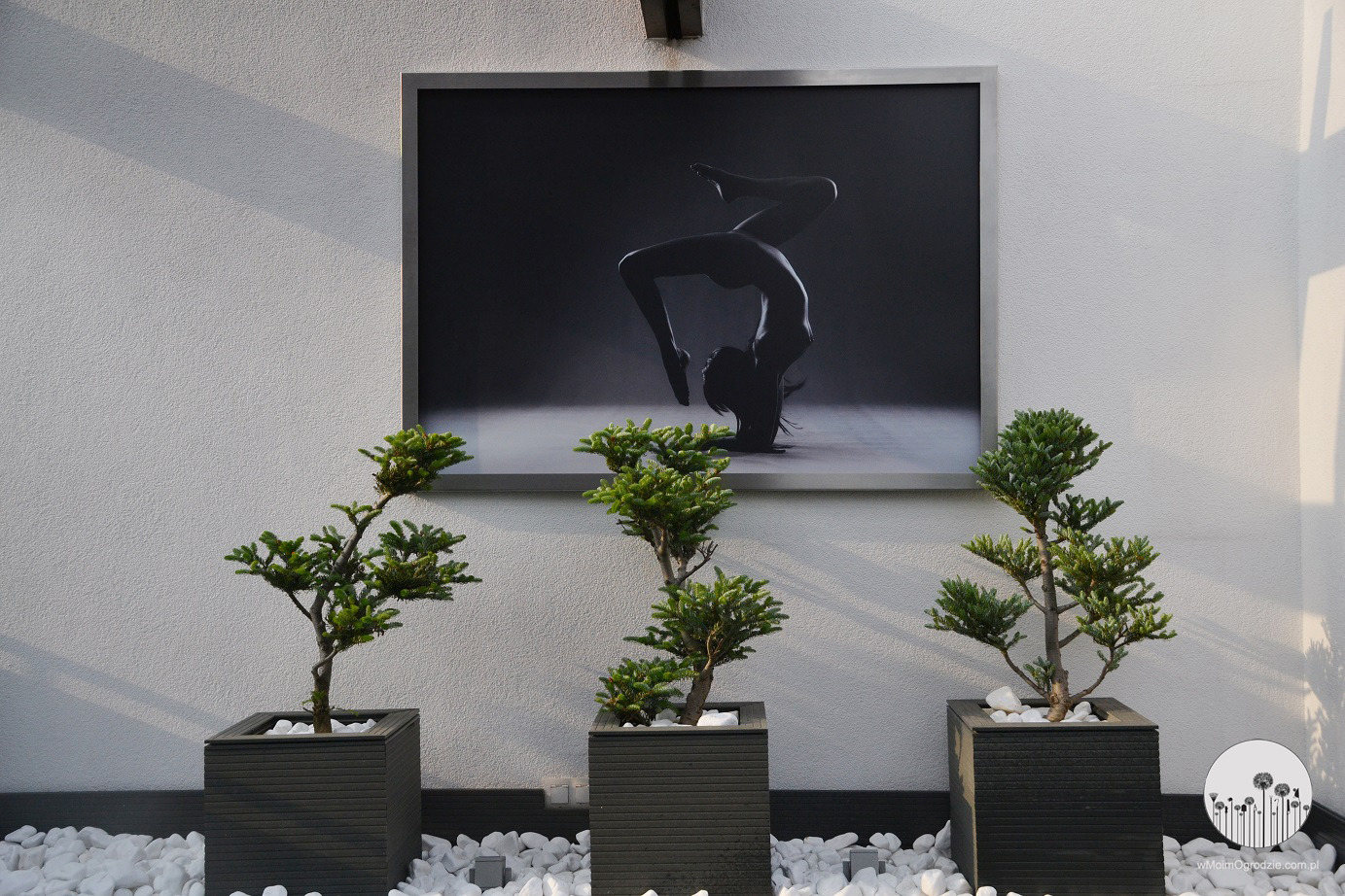 2019 年完成的屋顶花园设计-1