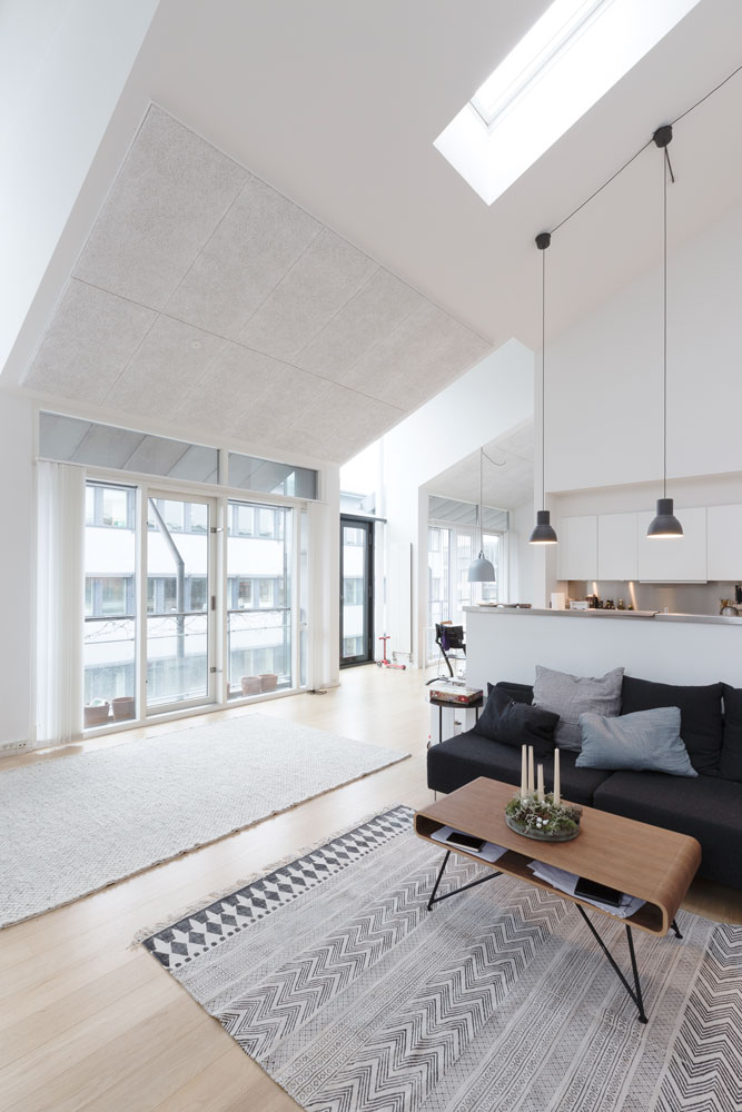 2016 年哥本哈根公寓设计-3