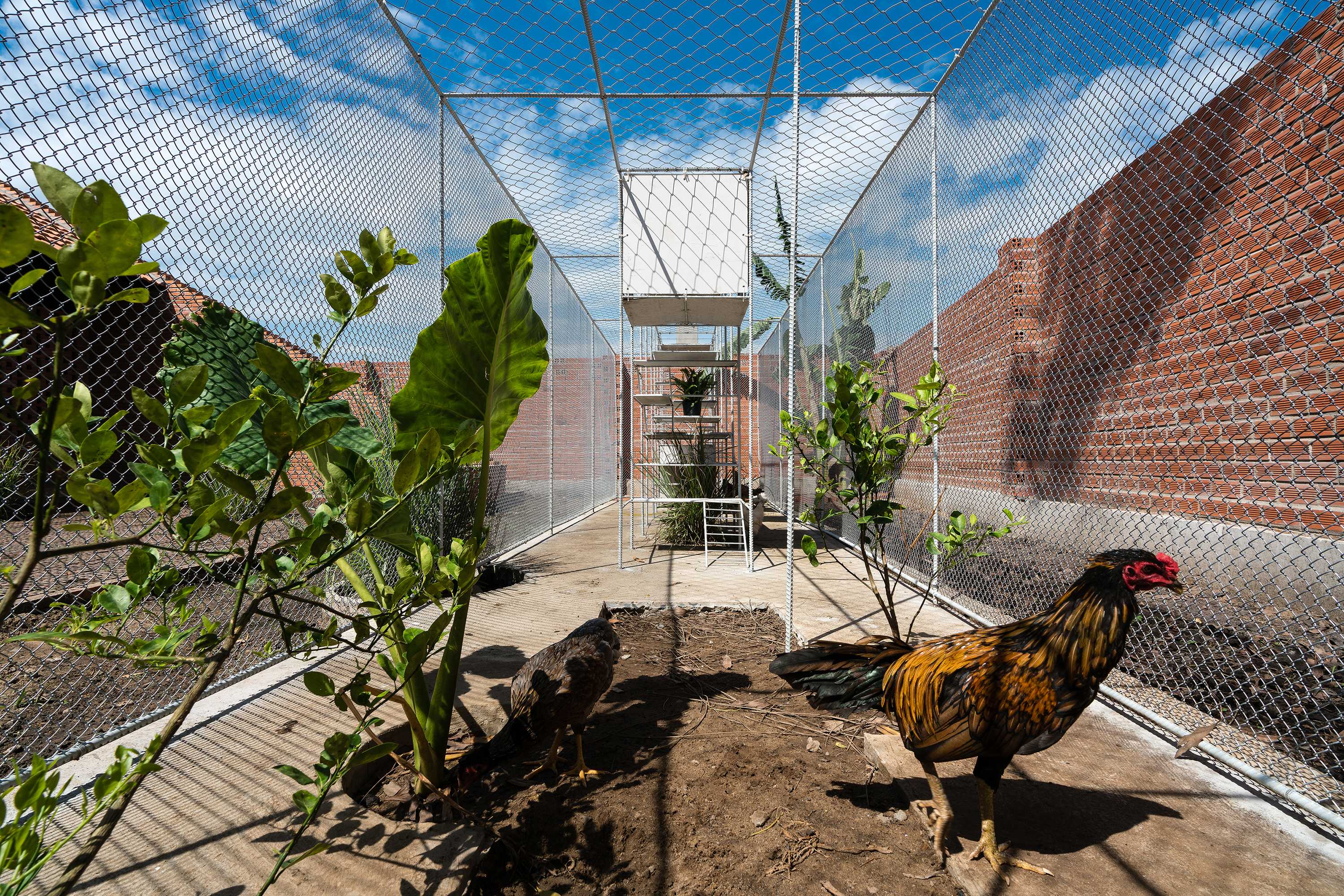 鸡舍建筑,儿童乐趣与自然的融合-12