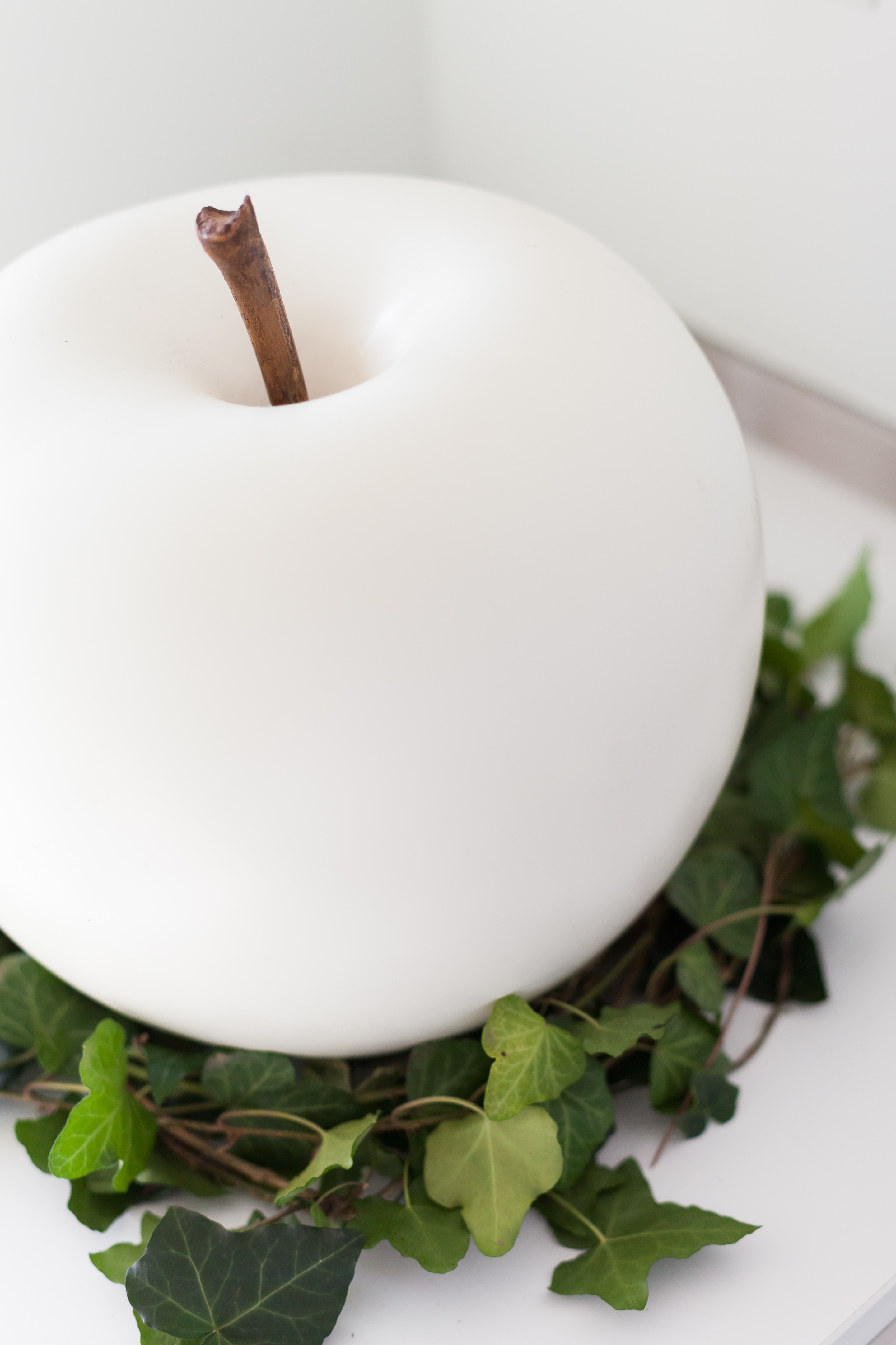 罗马全景厨房-3