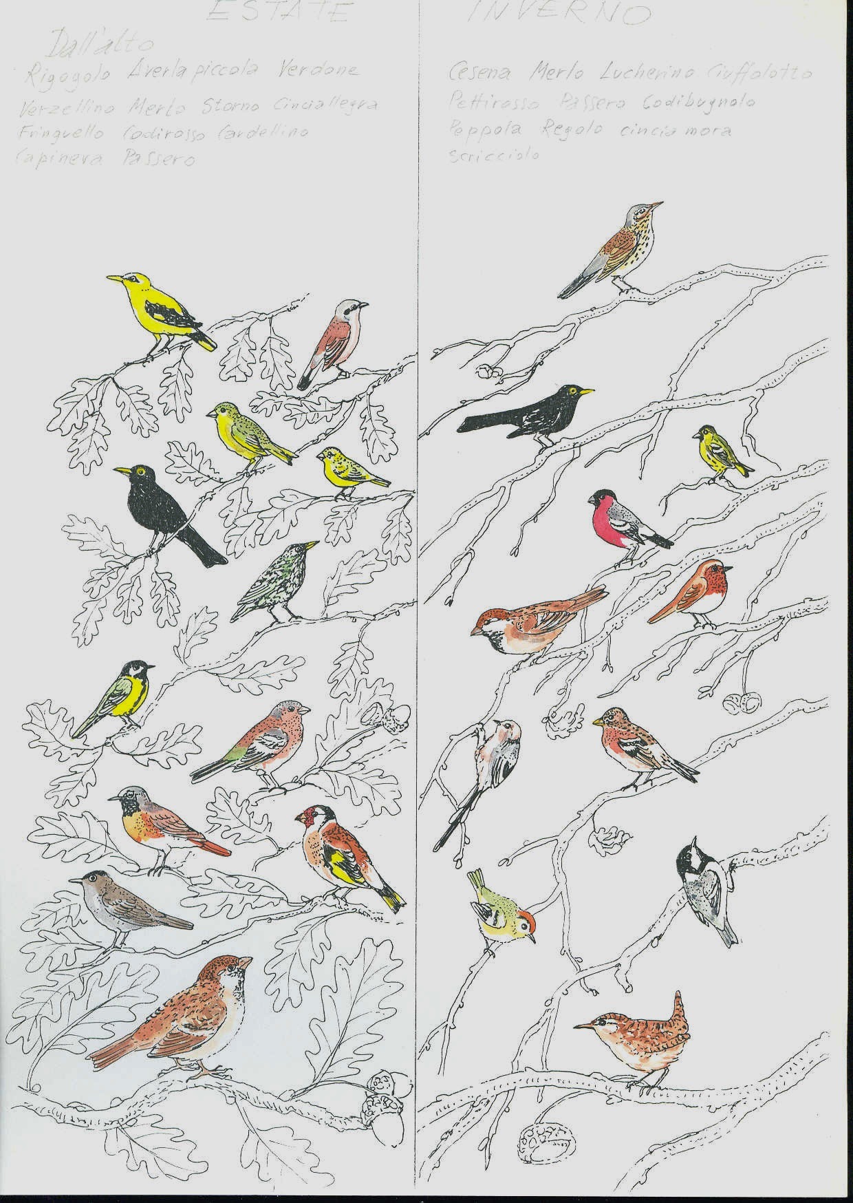 湖畔学校设计大赛-10