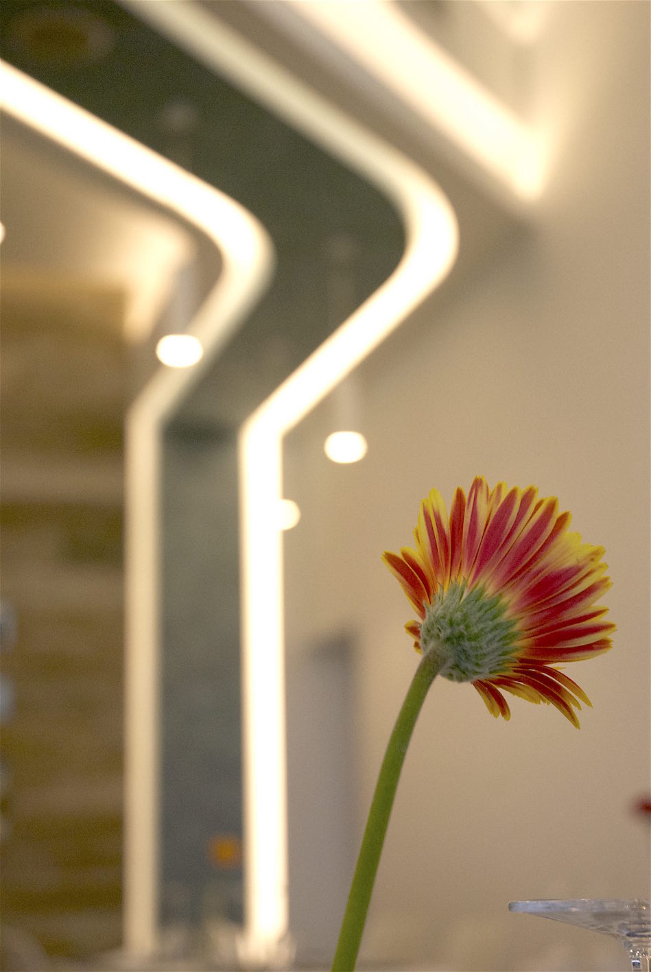 GrasSea 海洋主题餐厅设计-16