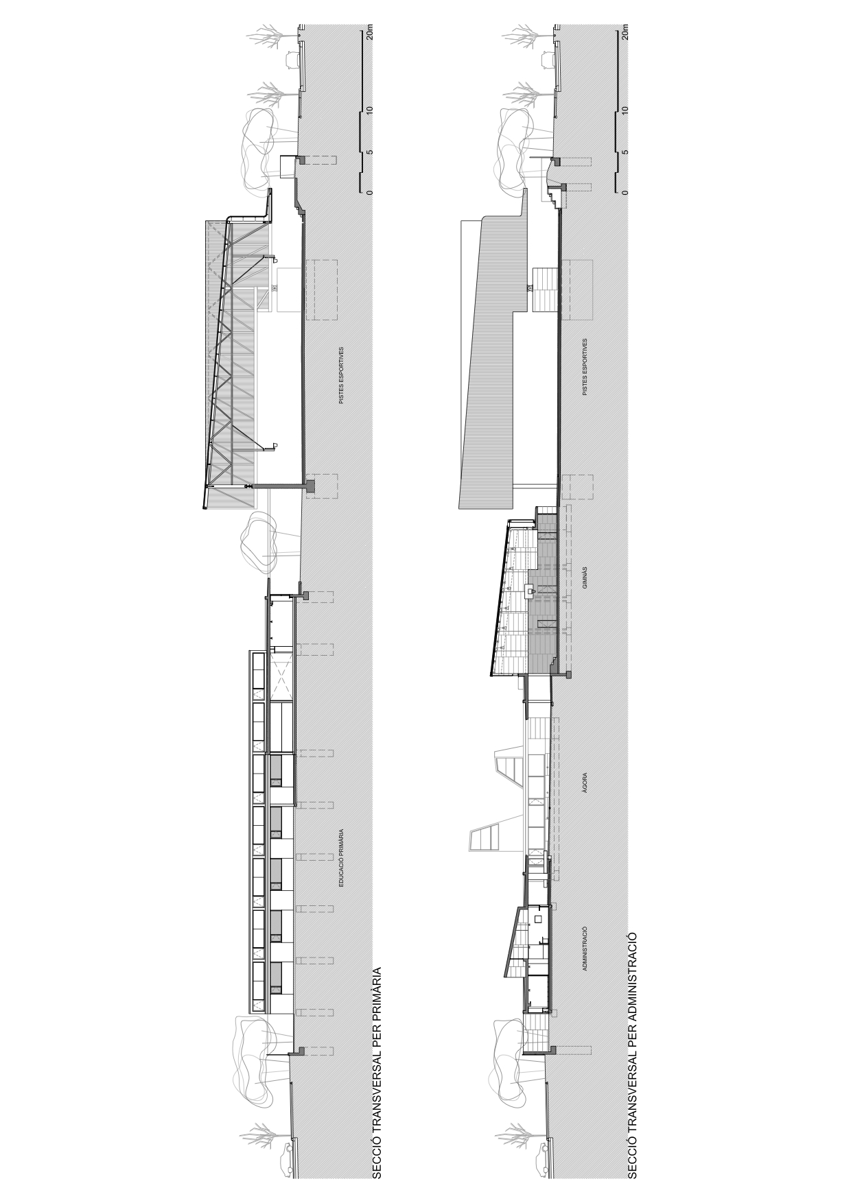 绿色环绕的 Elisabeth 学校，打造自然延伸的教育空间-12