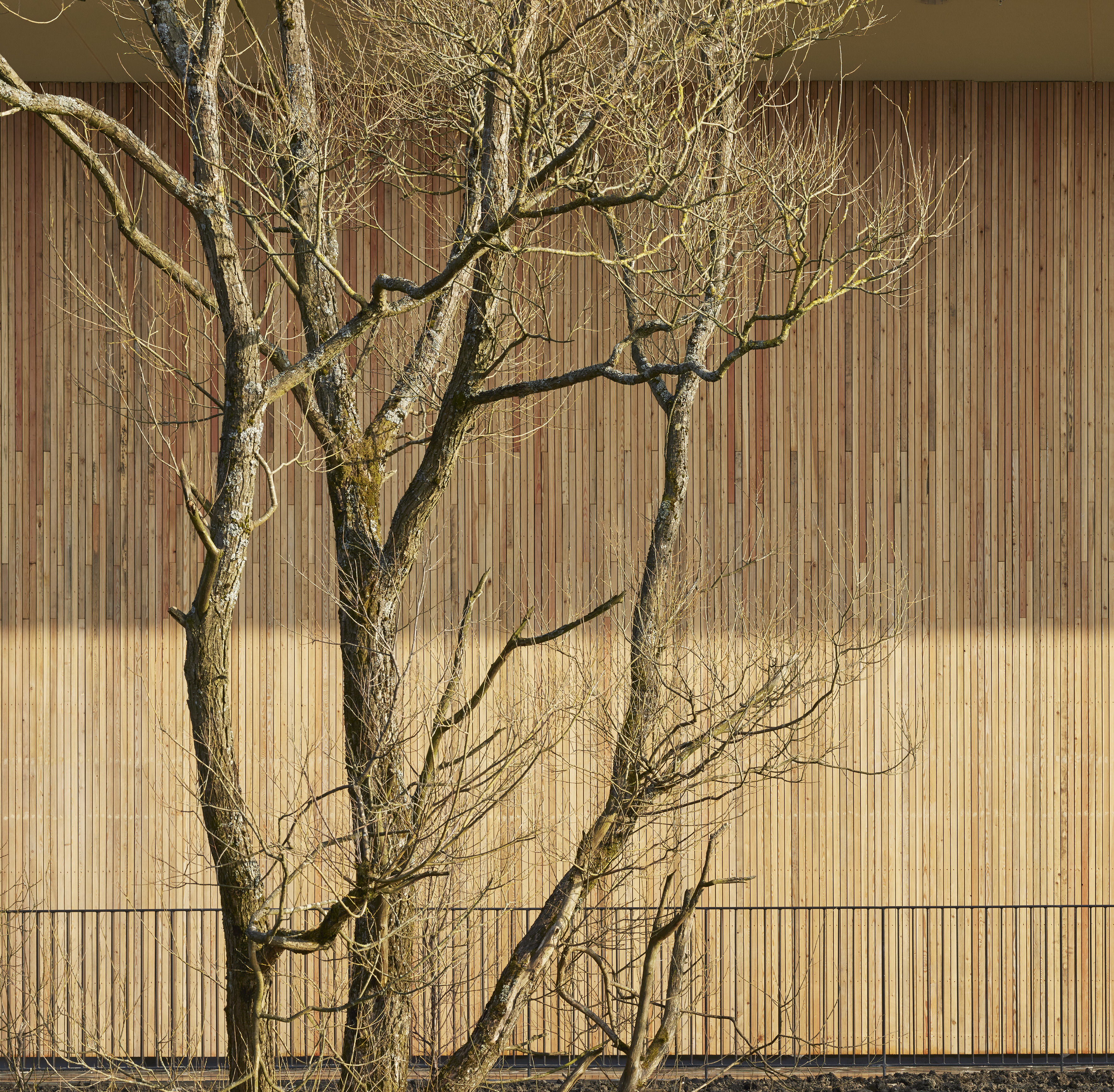 莱德斯兰小学-7