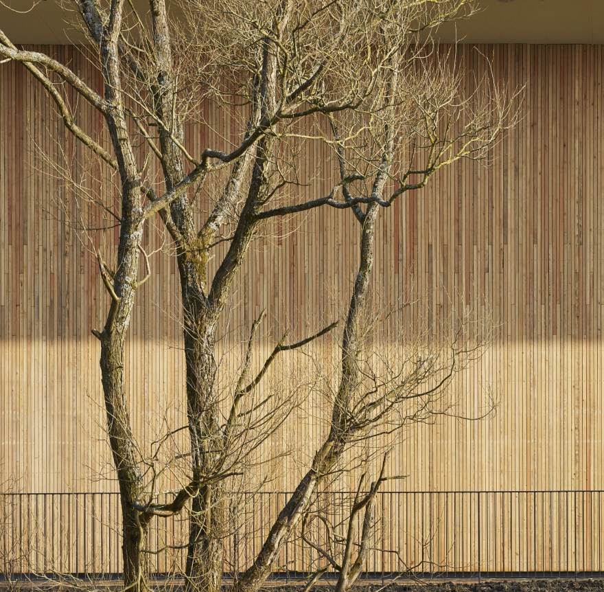 莱德斯兰小学-7