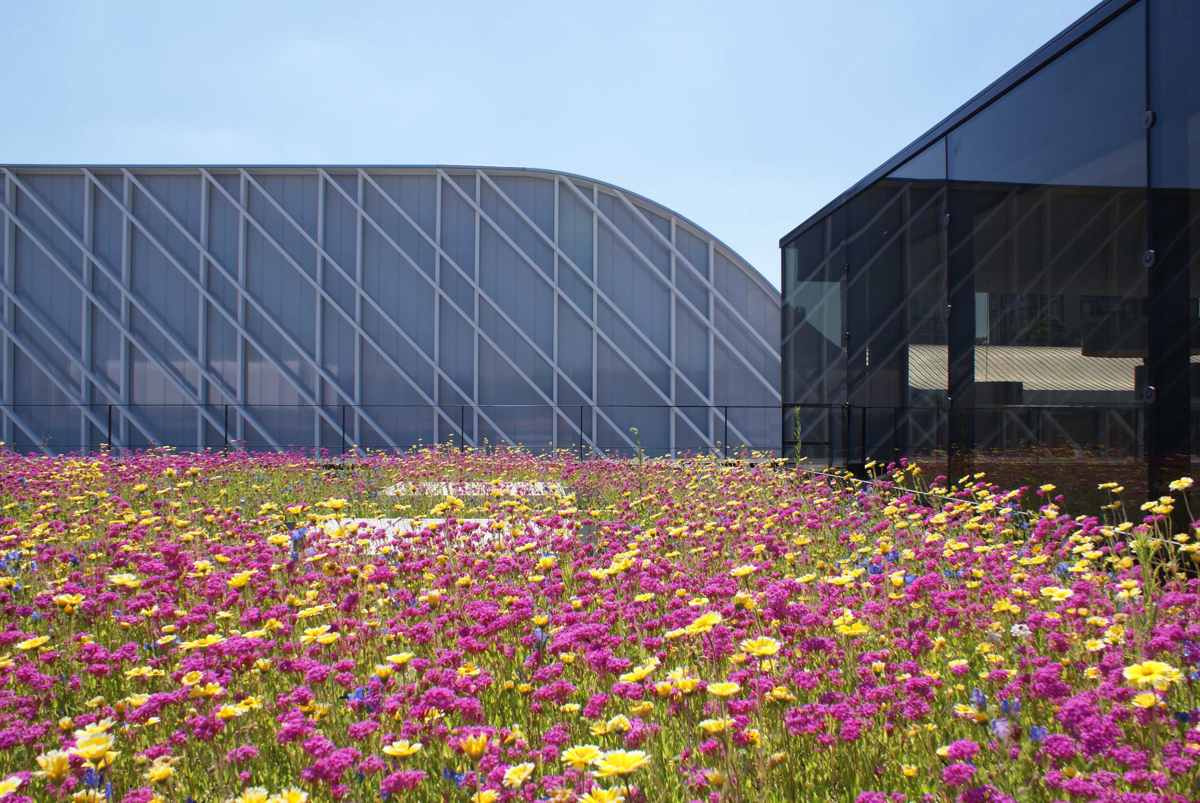 克拉玛特学校群 · 城市景观与教育的和谐融合-24