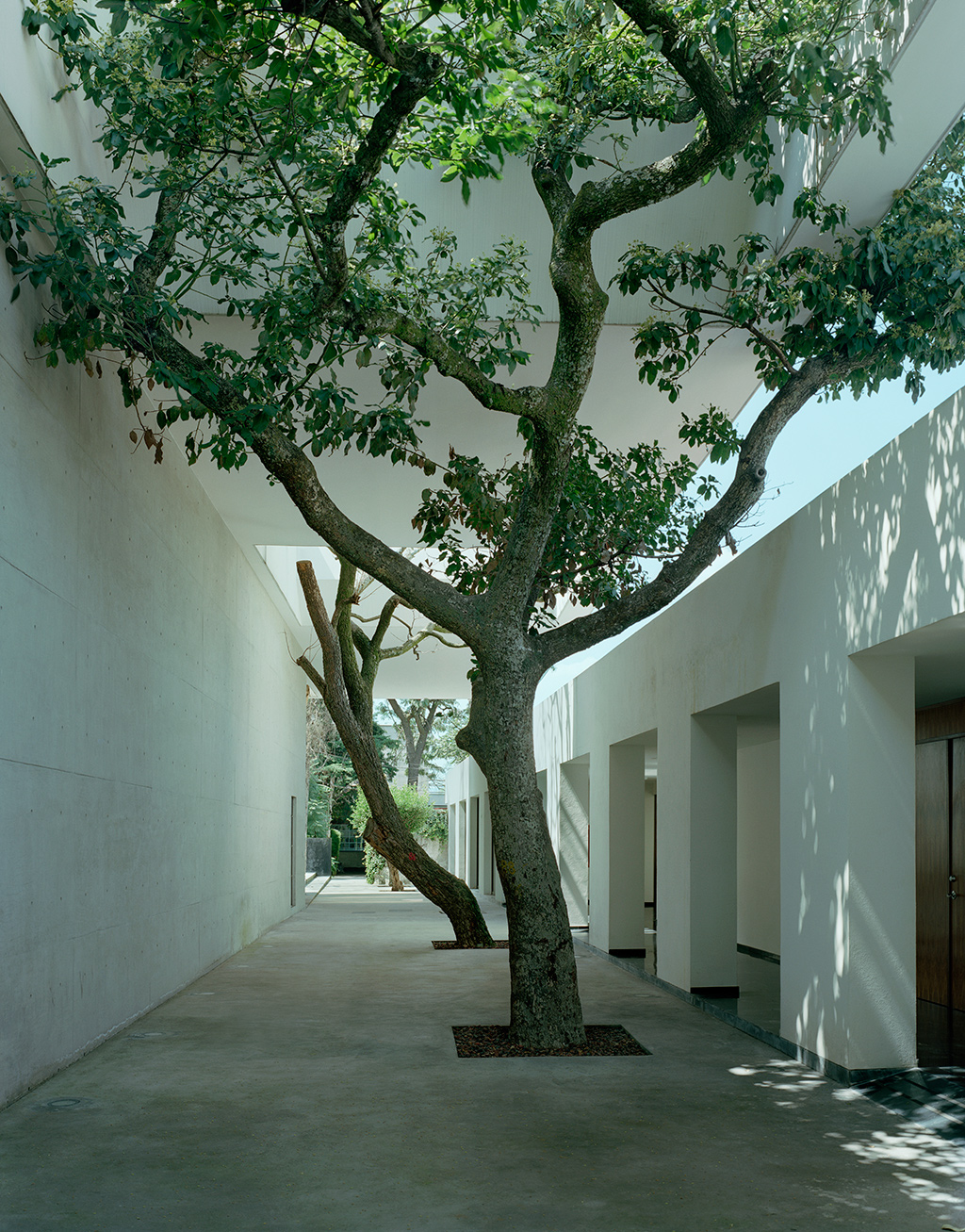 墨西哥 Pontifical 大学图书馆·绿色阅读空间-4