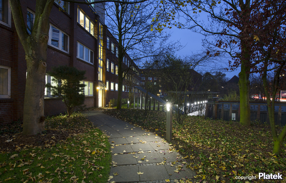 汉堡 Plan International 办公空间——公共花园式办公新体验-5