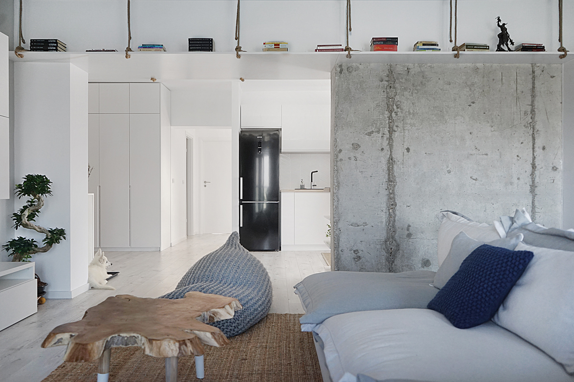 2017 年私人住宅室内设计佳作-10