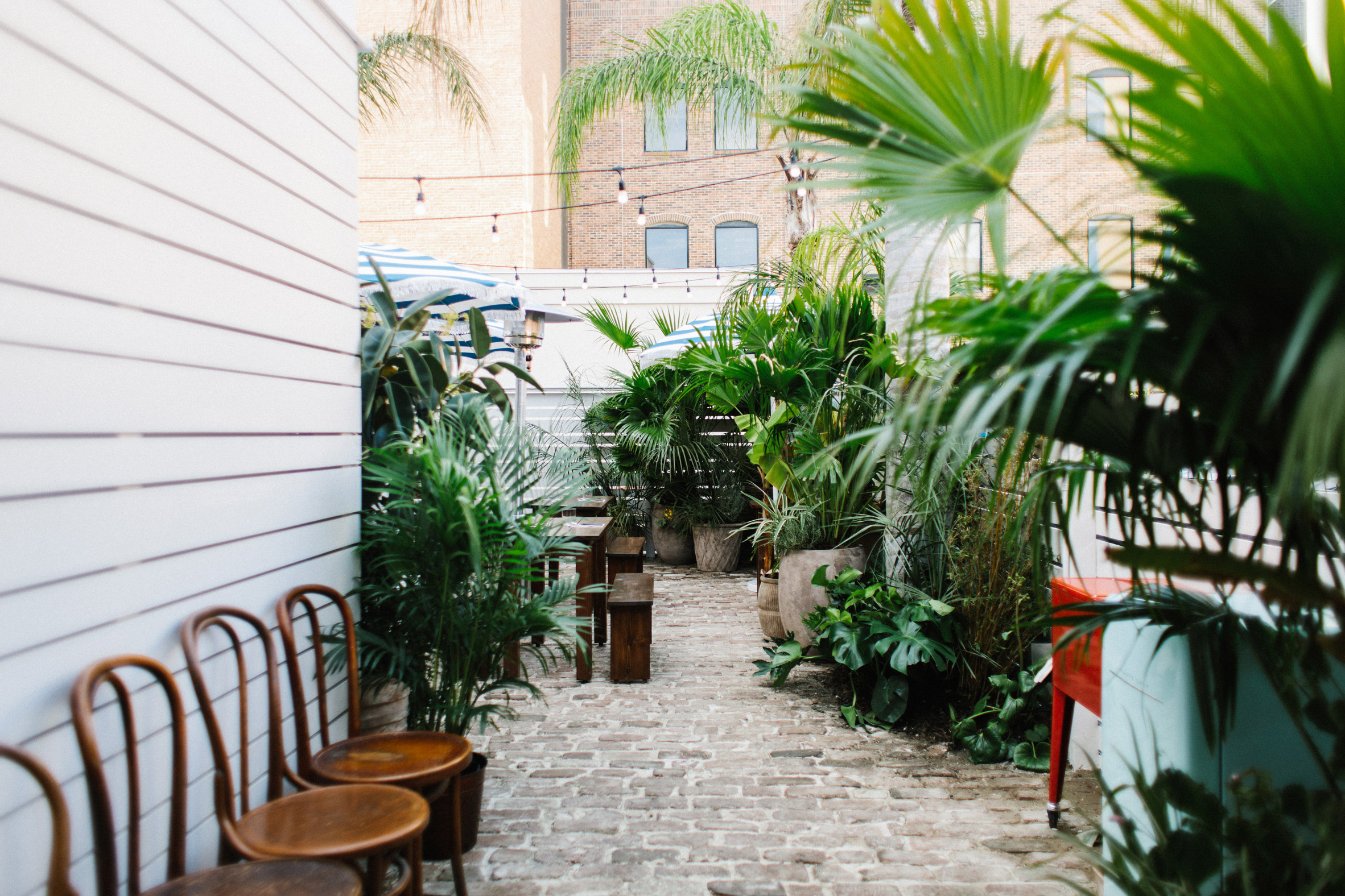 查尔斯顿历史建筑中的现代餐厅改造-23