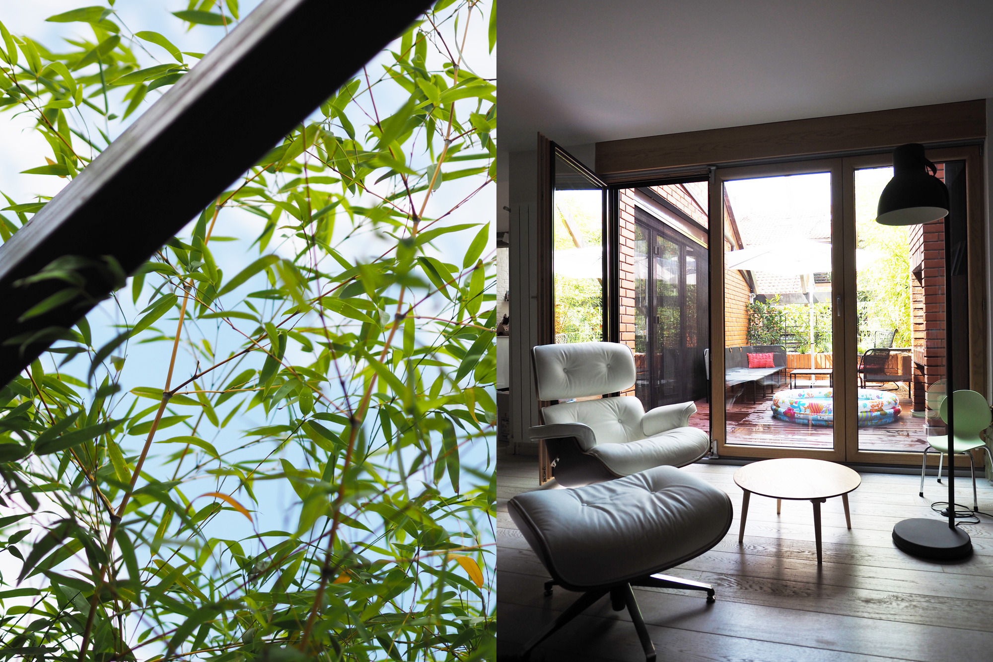 城市中的世外桃源-15