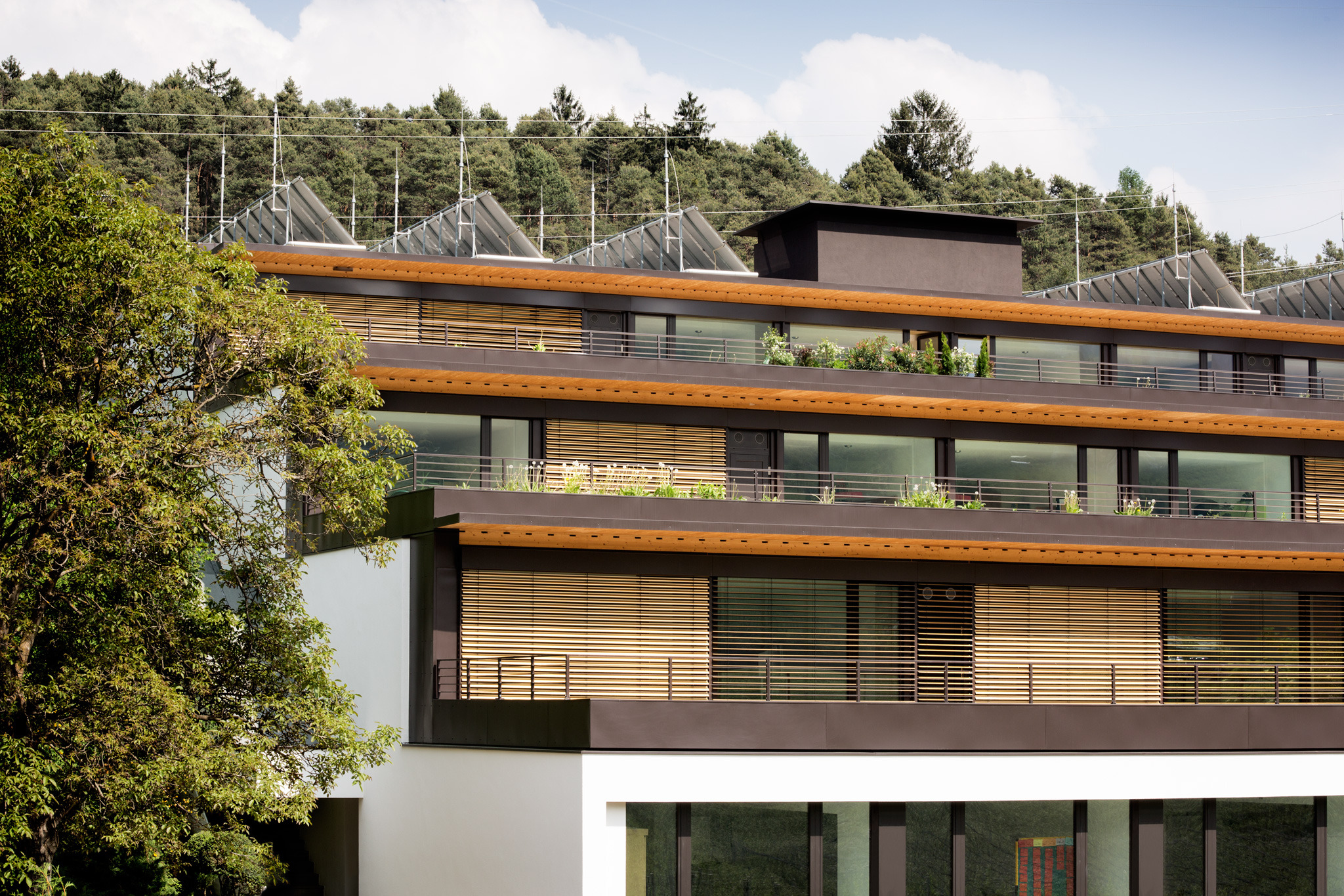 弗兰肯伯格家庭经济职业学院翻新-2