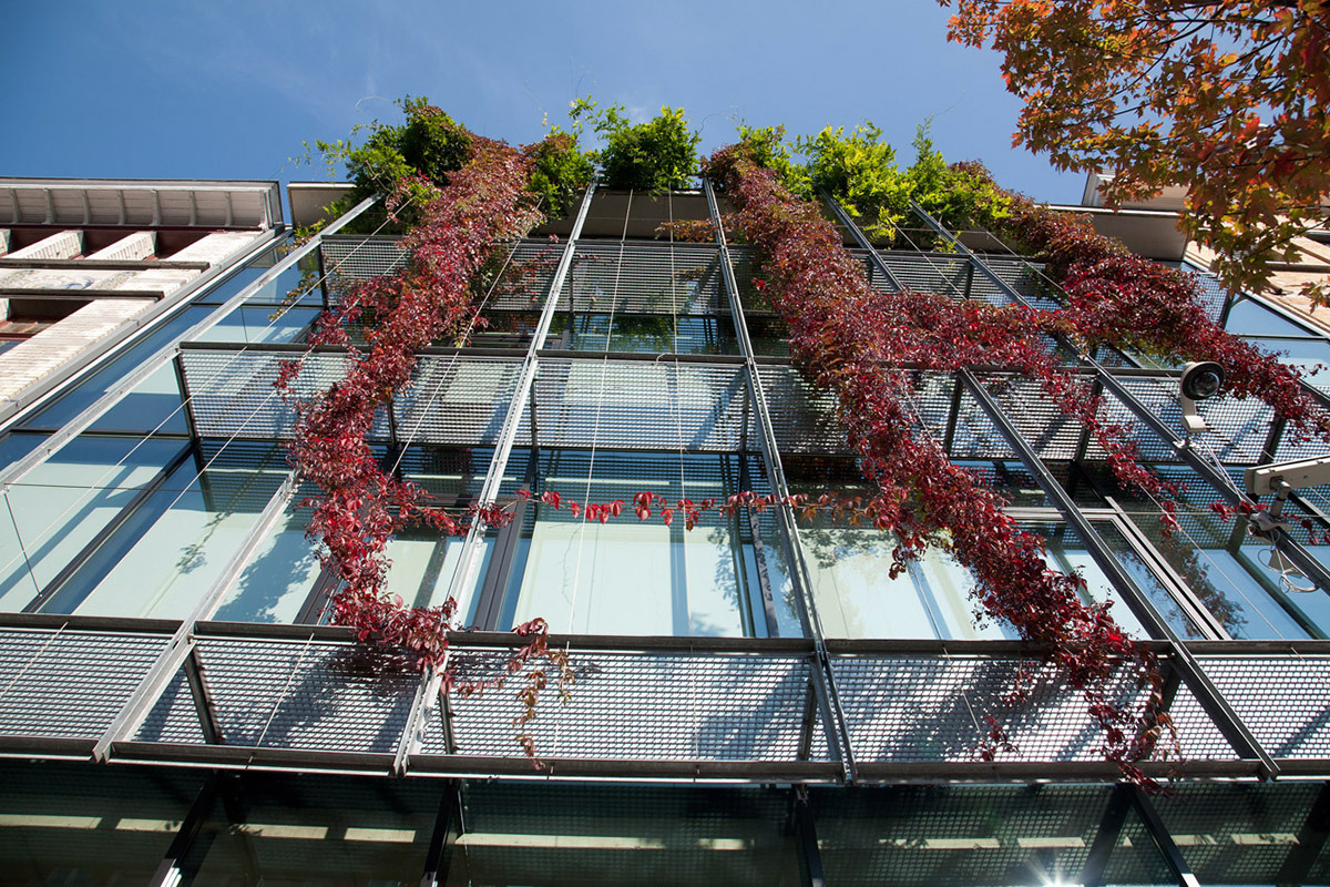 TEIN 公司总部 | 历史与现代的和谐交融-5