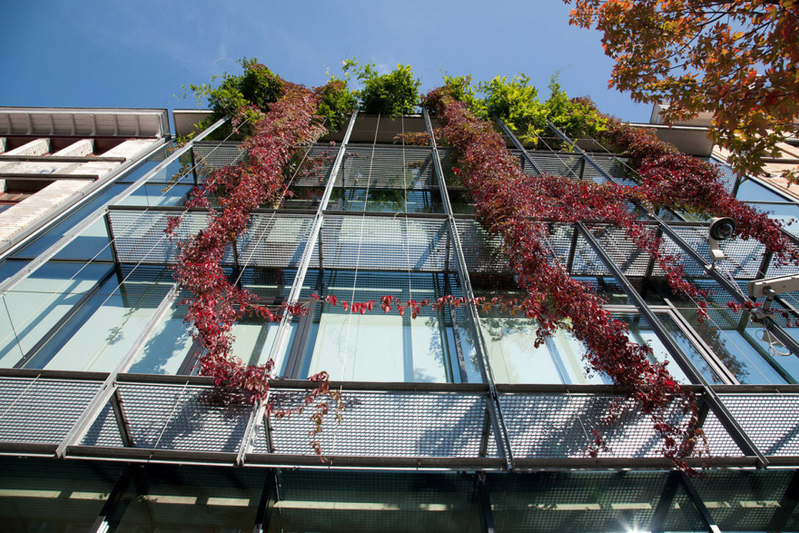 TEIN 公司总部 | 历史与现代的和谐交融-5