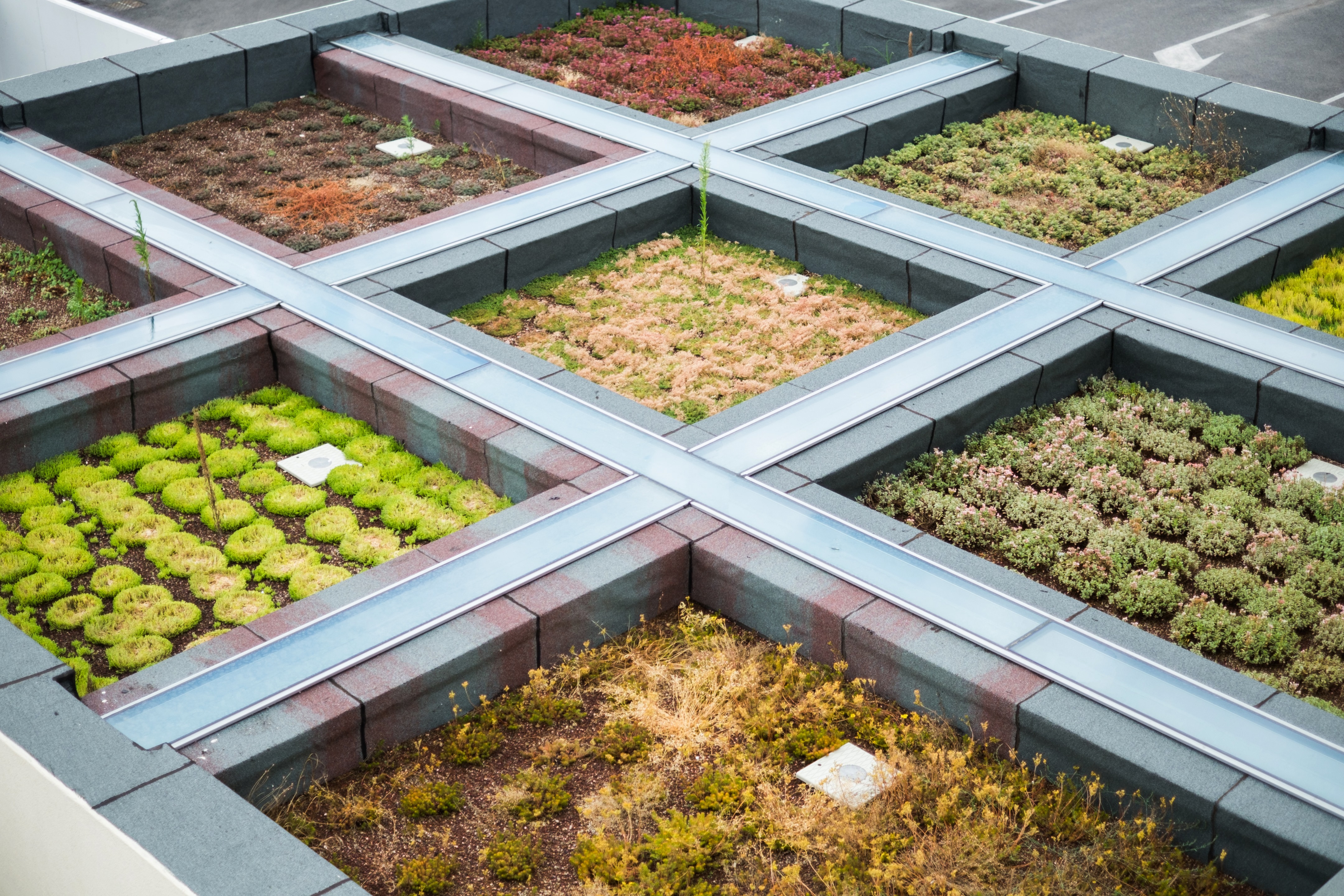 绿色之心——意大利 Blu Moret 酒店中心设计-1