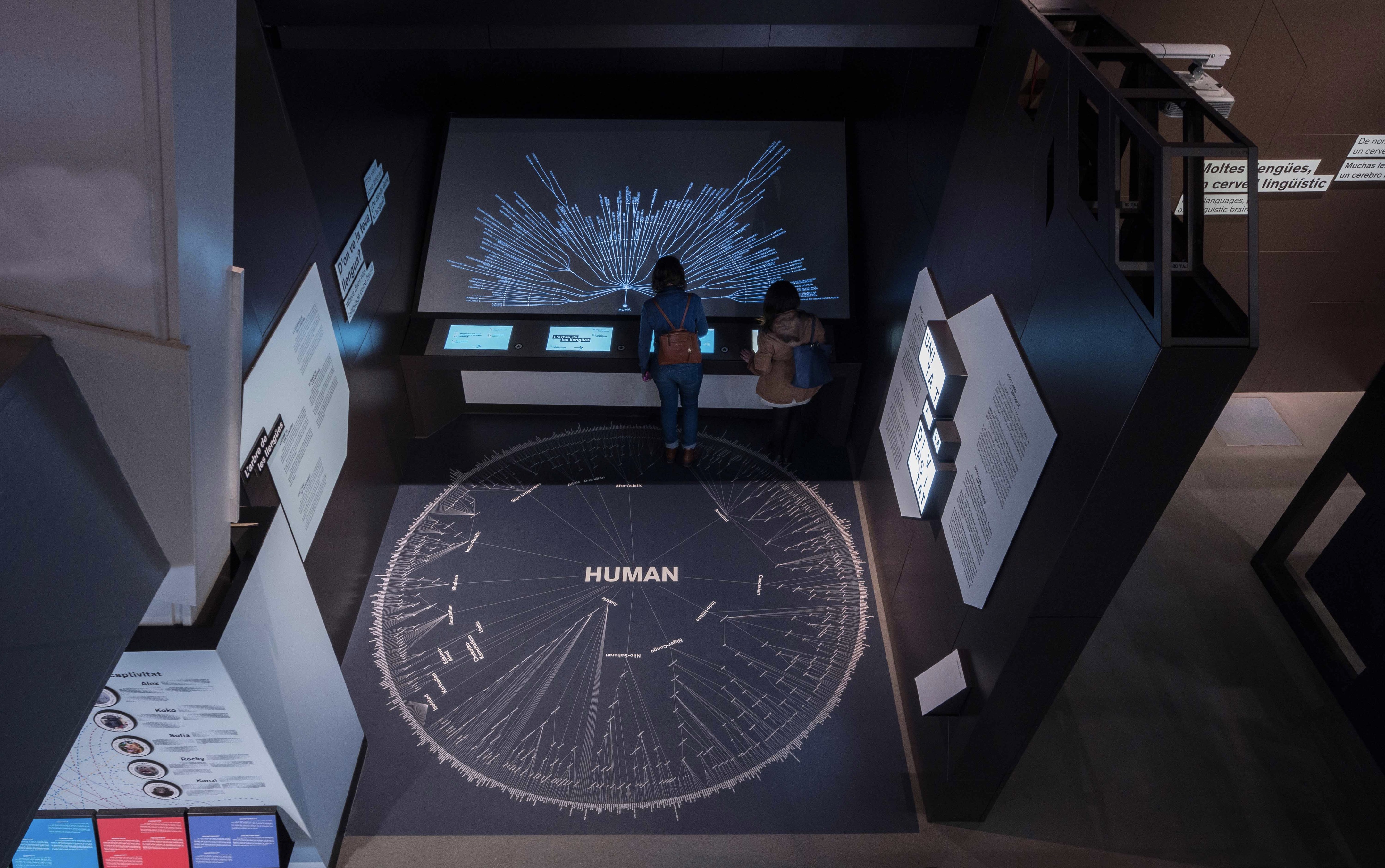 Talking Brains 展览设计-97