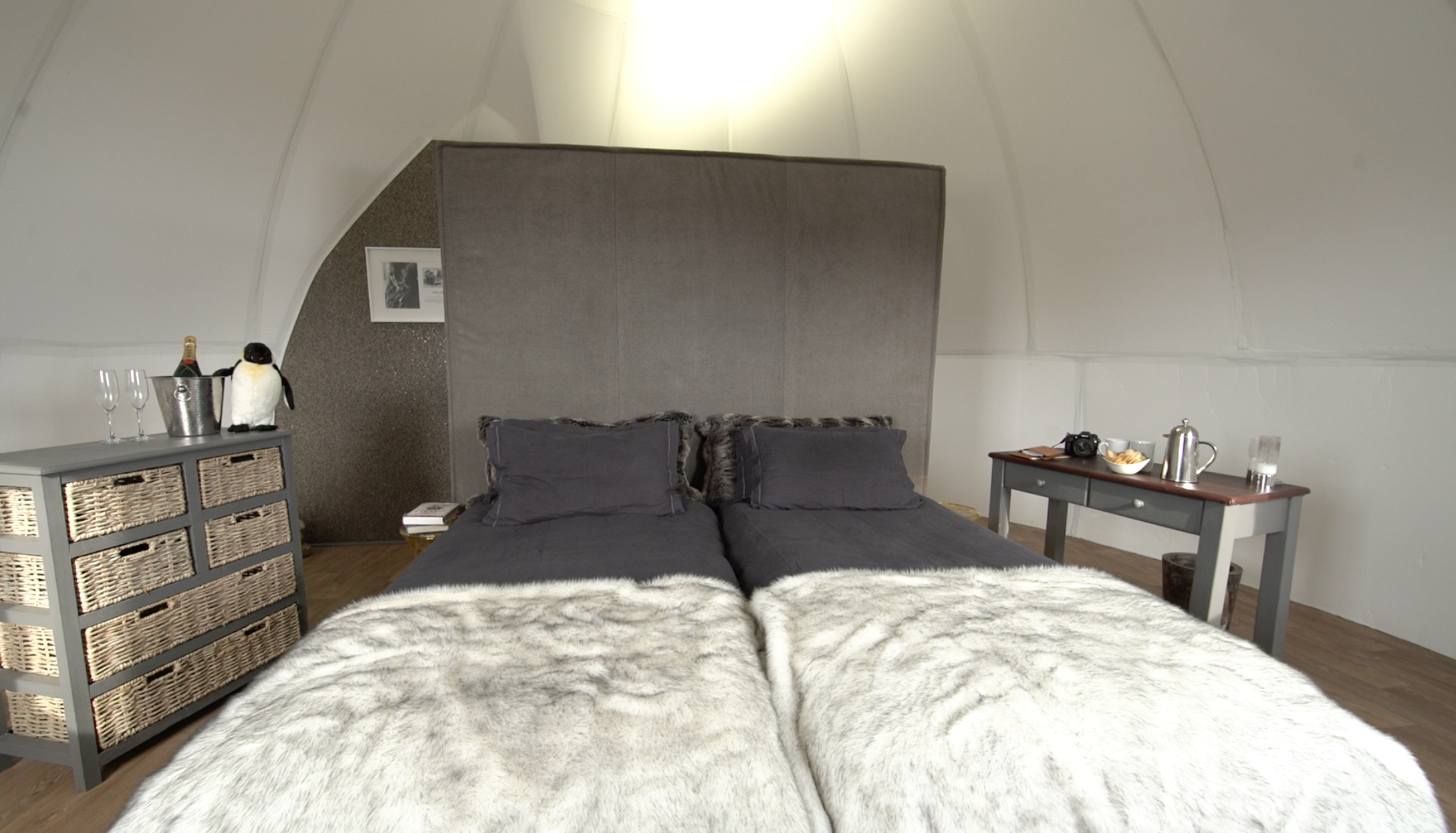 南极奢华营地“白沙漠”-8