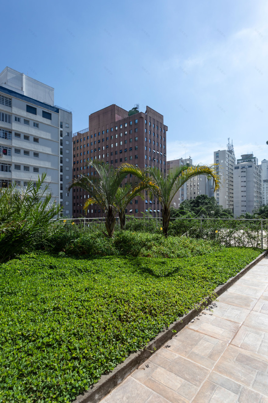 巴西绿色住宅楼,绿意盎然与城市景观相融-30