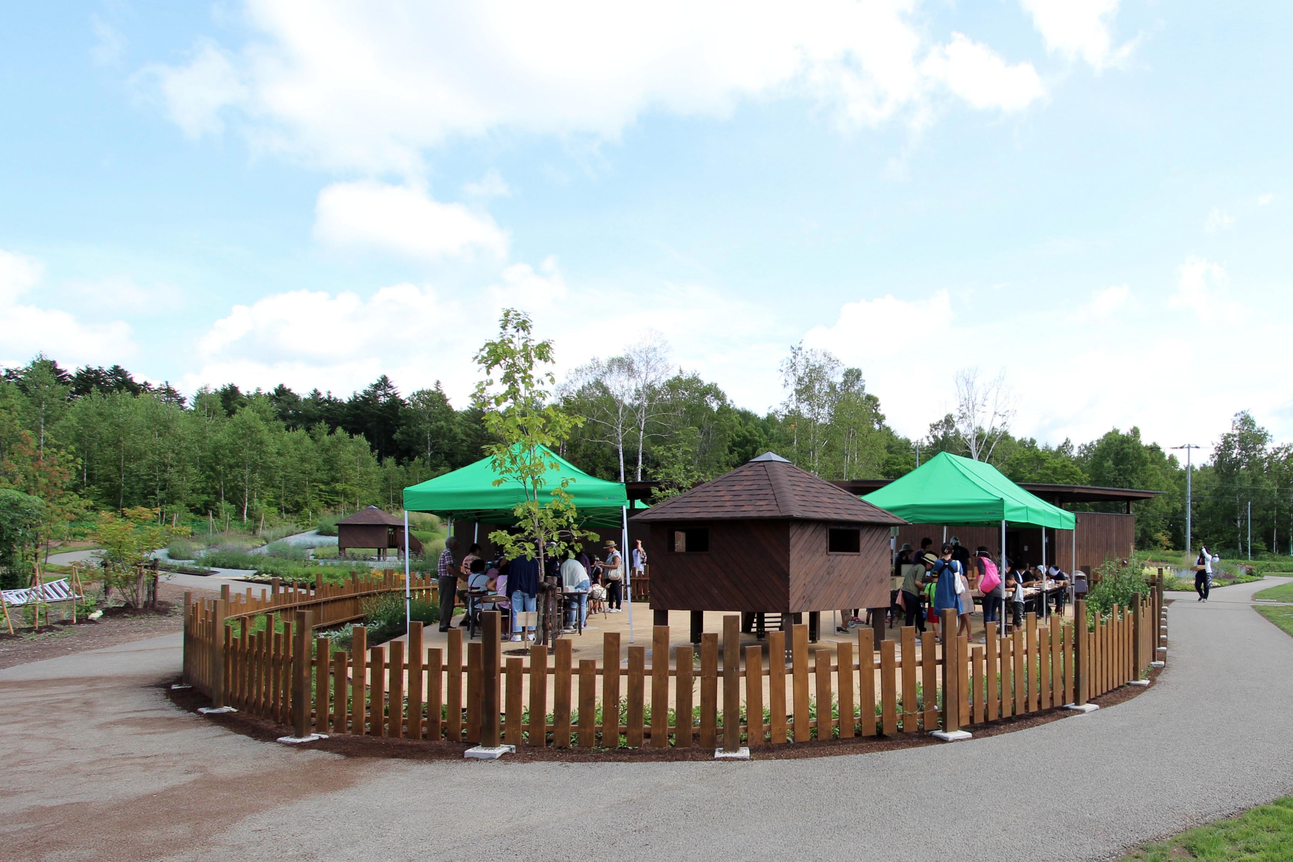 2015 年完成的库鲁米娜公共花园-44