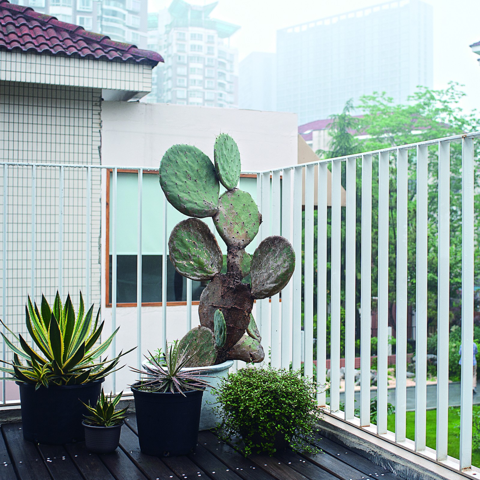 杭州观堂设计 1 号别墅办公空间 | 简约工业风,花园式办公环境-37