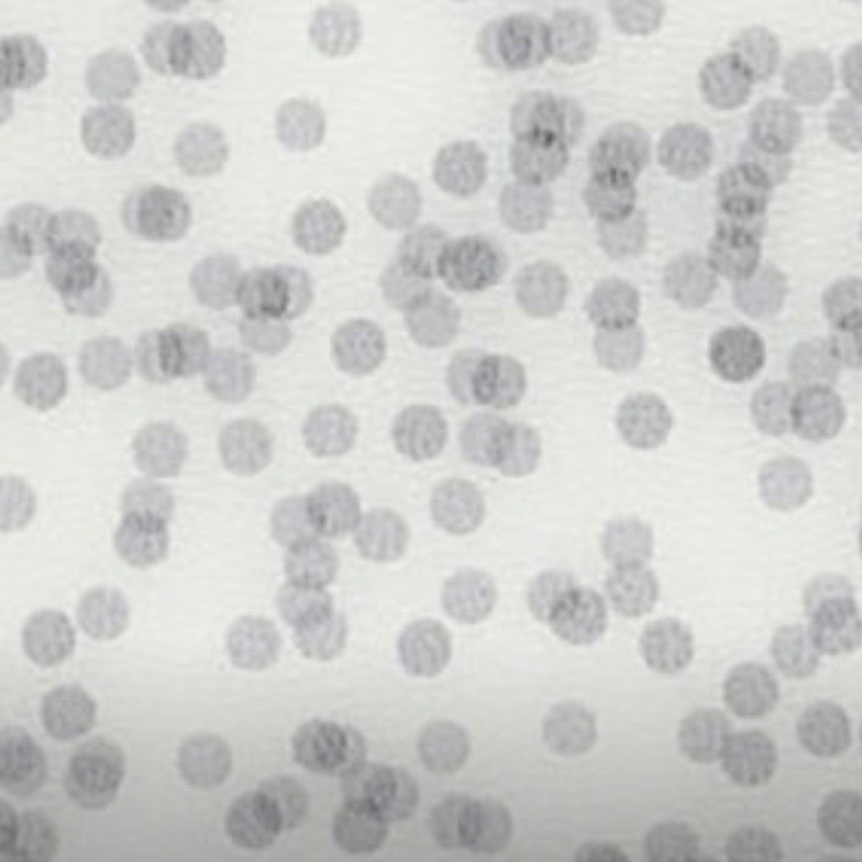 土耳其 ITÜ慈善学校幼儿园-35