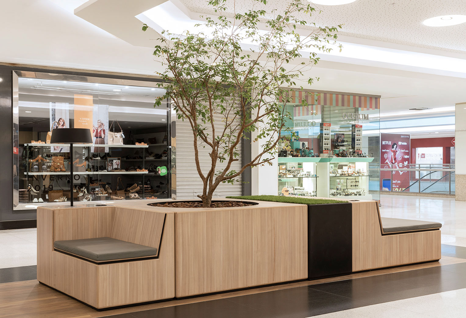 贾德尔·阿尔梅达，朱莉安娜·里奥布兰科，安德烈·德托尼，拉斐尔·阿达米，亚历·安德烈·马亚达纳，卡罗琳娜·梅里齐，让·卡洛斯-8