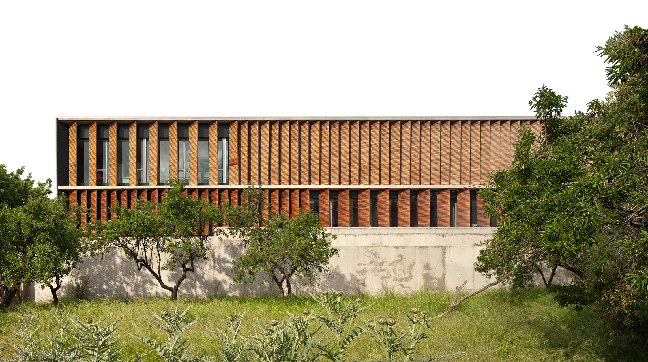 音乐学校的公共空间营造-3