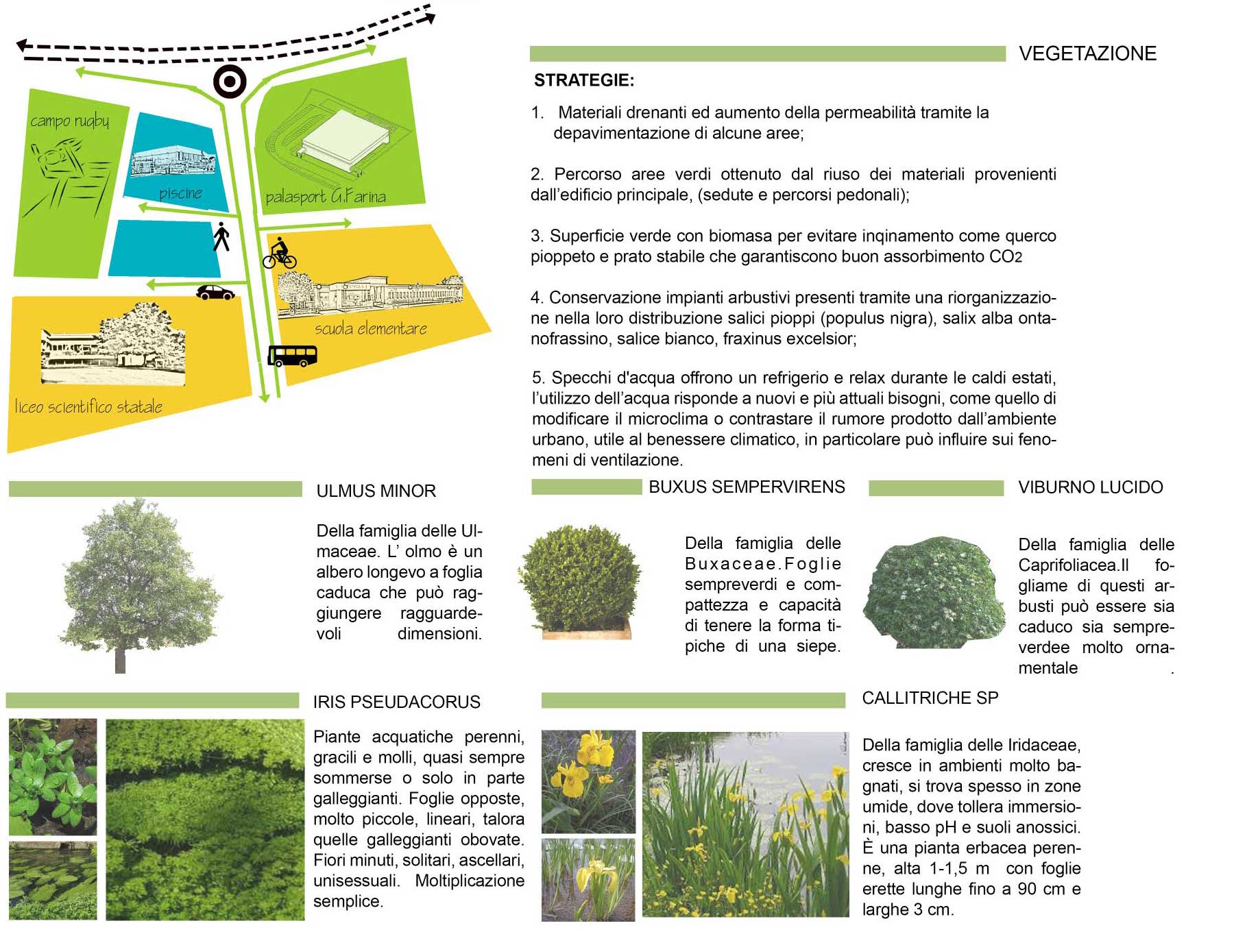 2016 年 Viadana 市 Palafarina 运动馆 | 现代与传统的完美结合-12