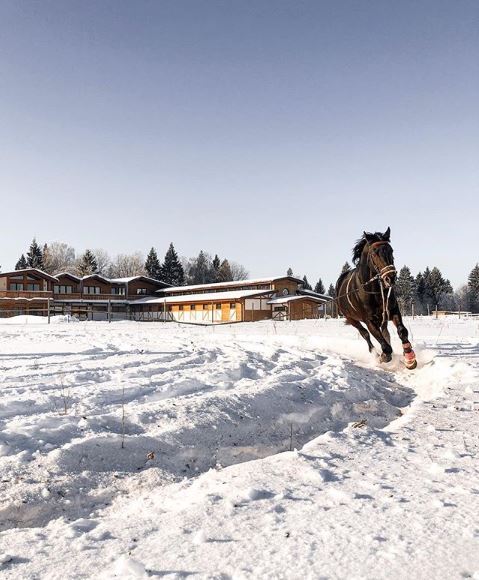 阿尔卑斯山风格木屋酒店与树屋设计-3