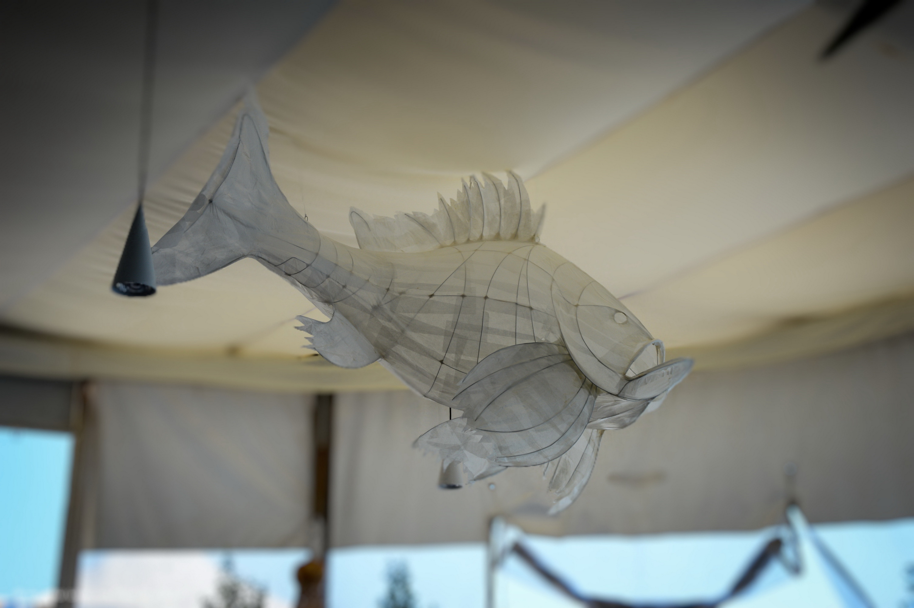 光怪陆离的海底餐厅-17