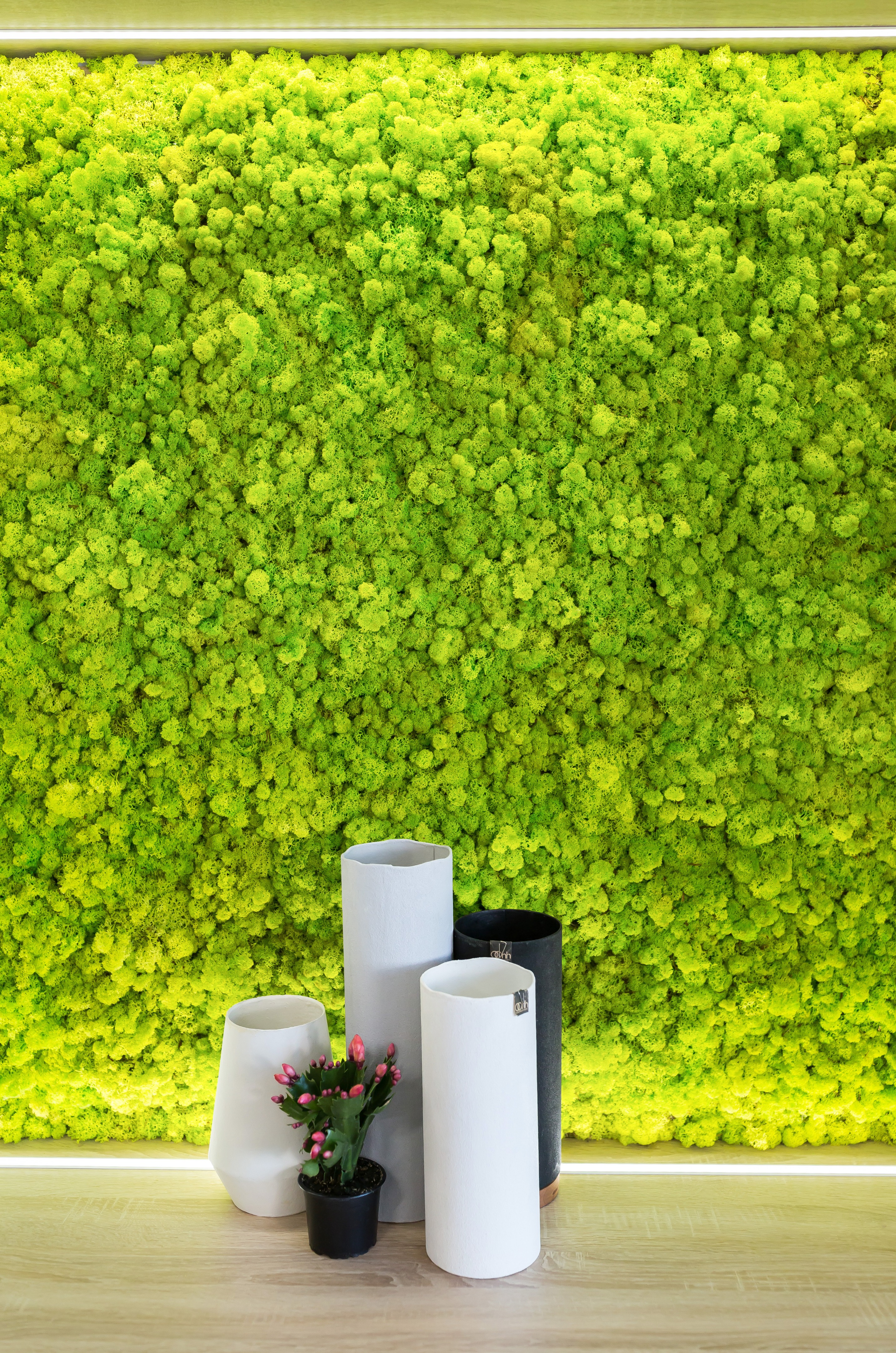 极简科技红 X 办公室-6