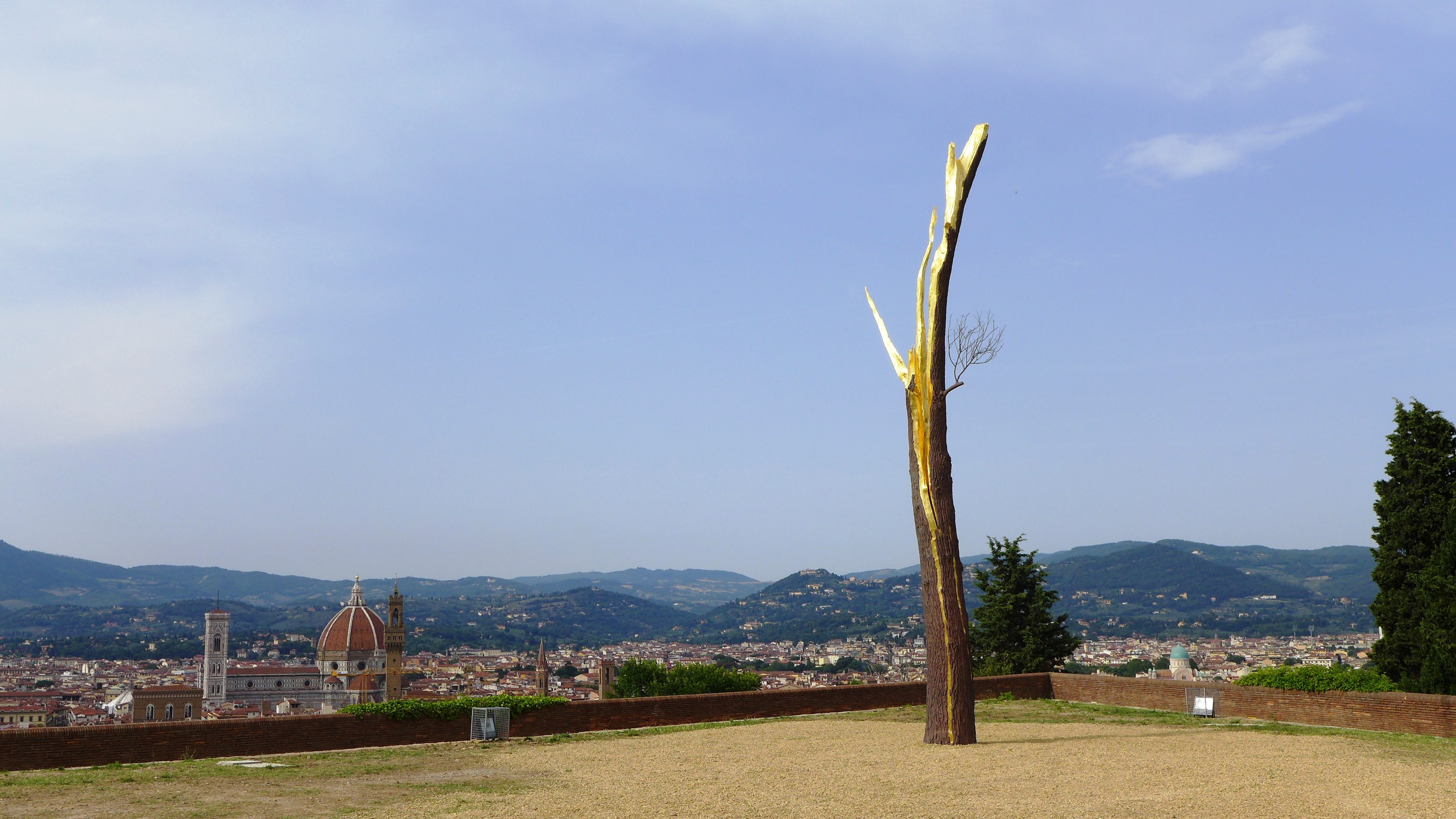 "植"入历史的艺术对话——Giuseppe Penone 个展“Prospettiva Vegetale”-1