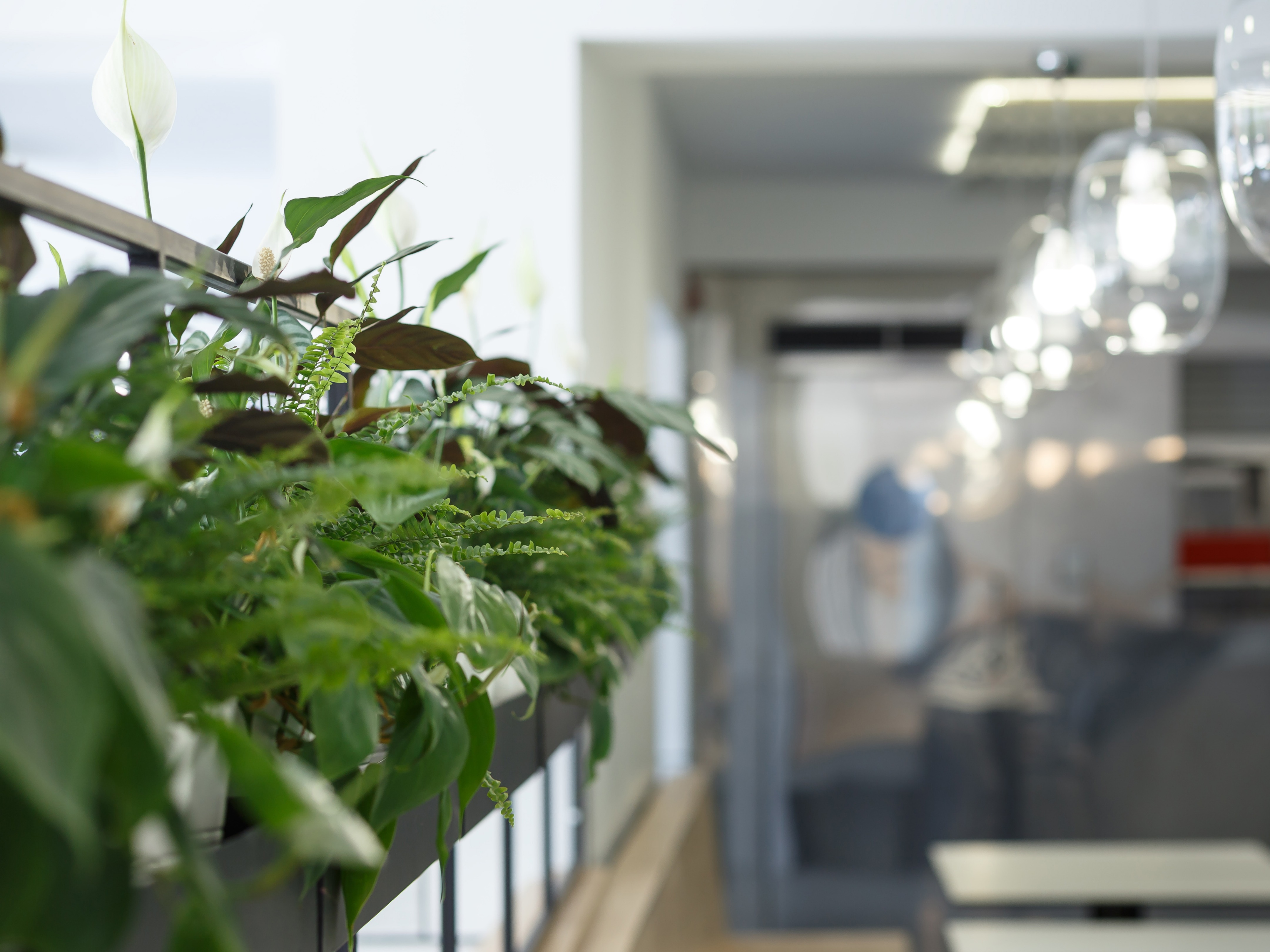 一号员工食堂改造-18