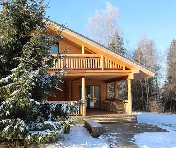 阿尔卑斯山风格木屋酒店与树屋设计-8