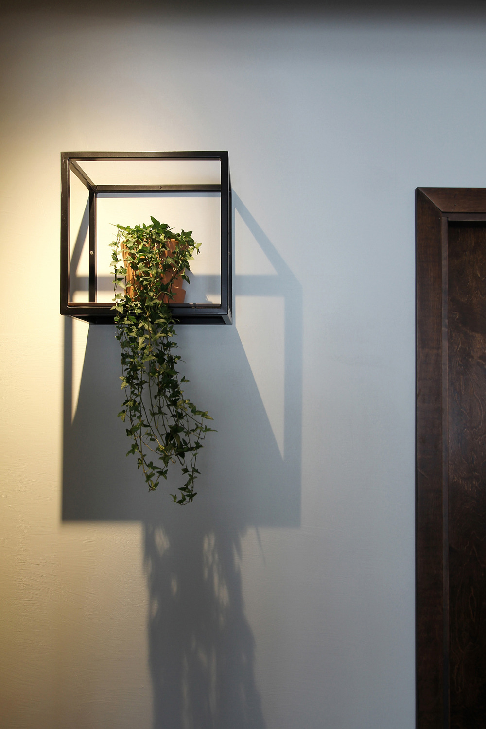 卡瓦列里乌斯-34