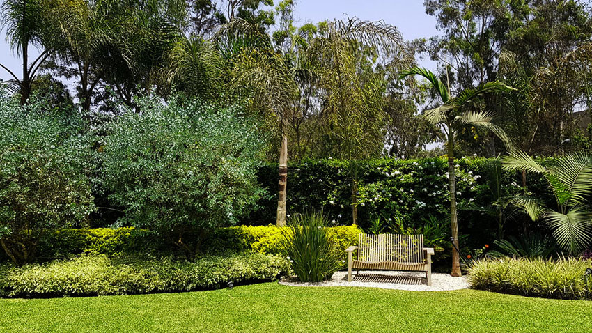 绿意盎然的家 · 打造 10 个月的世外桃源-18