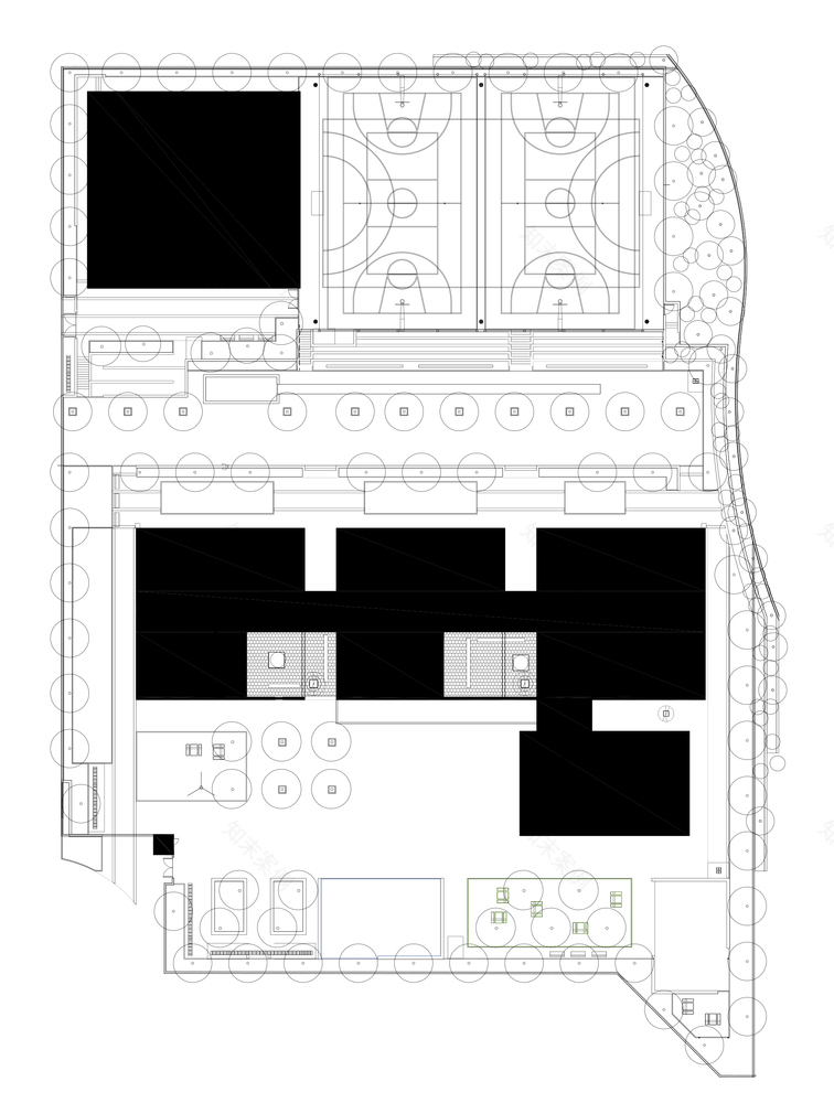 卡法萨巴小学-89