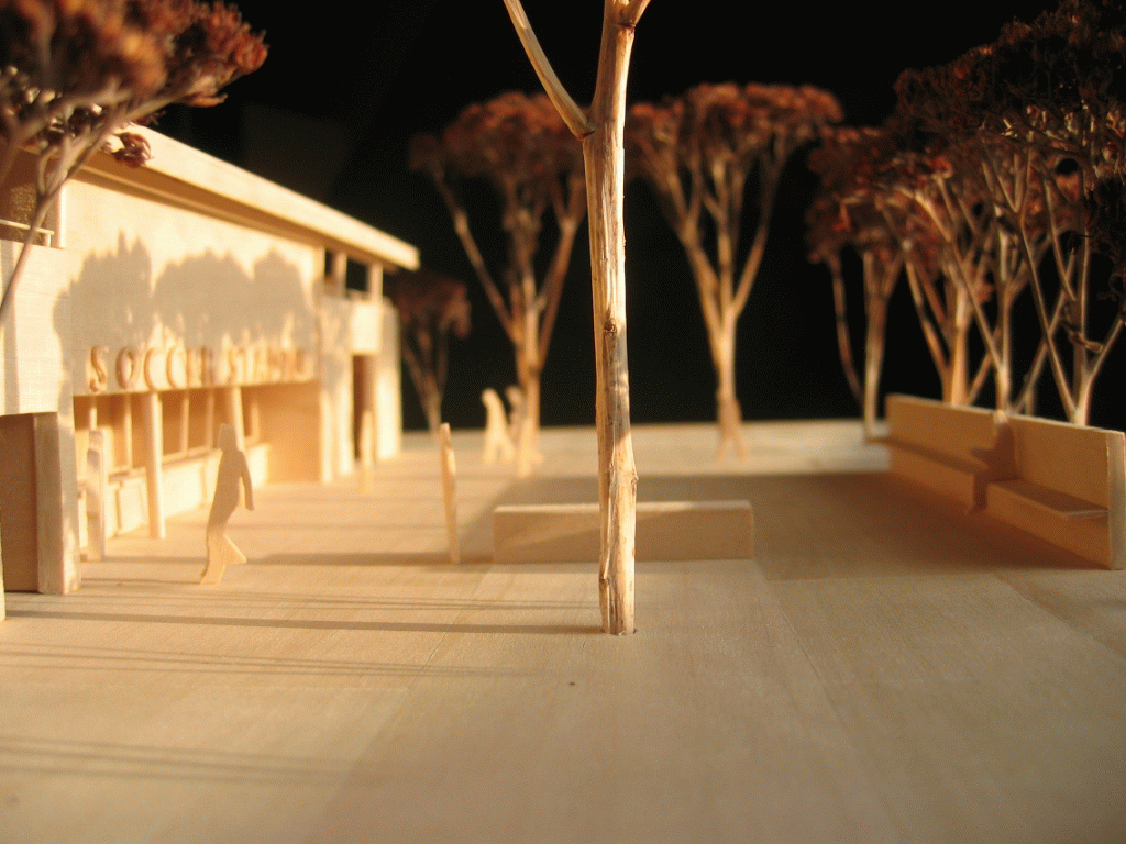 普林斯顿体育公园-8