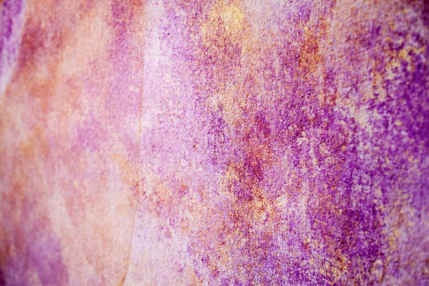 LA COLLINA DEGLI ELFI·为癌症康复儿童打造的古建筑康复中心-25