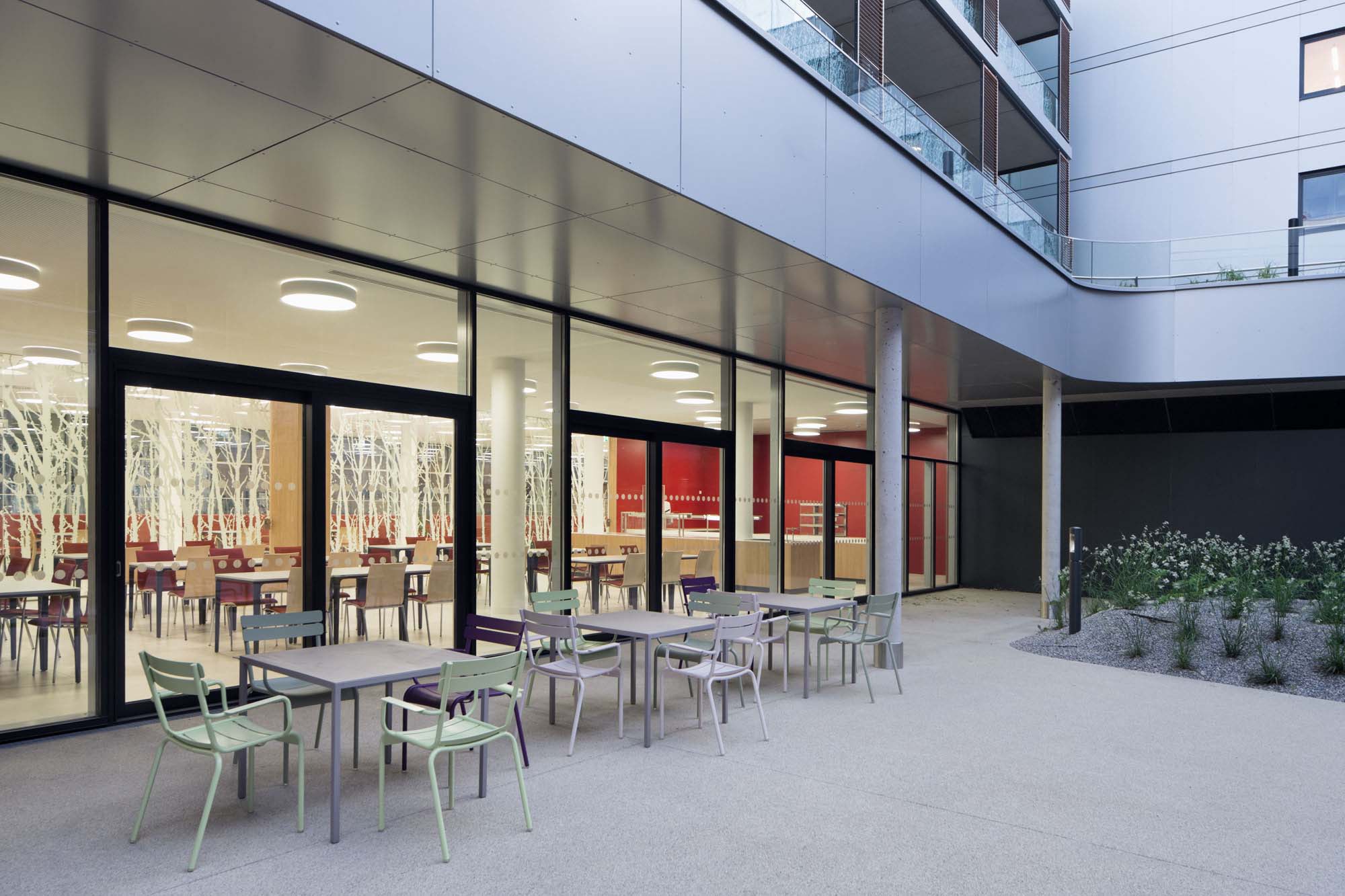 老年护理鲍姆加滕-4