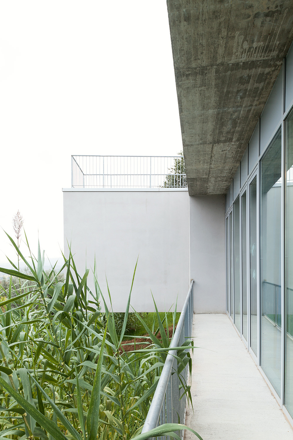 La Balena 幼儿园-18