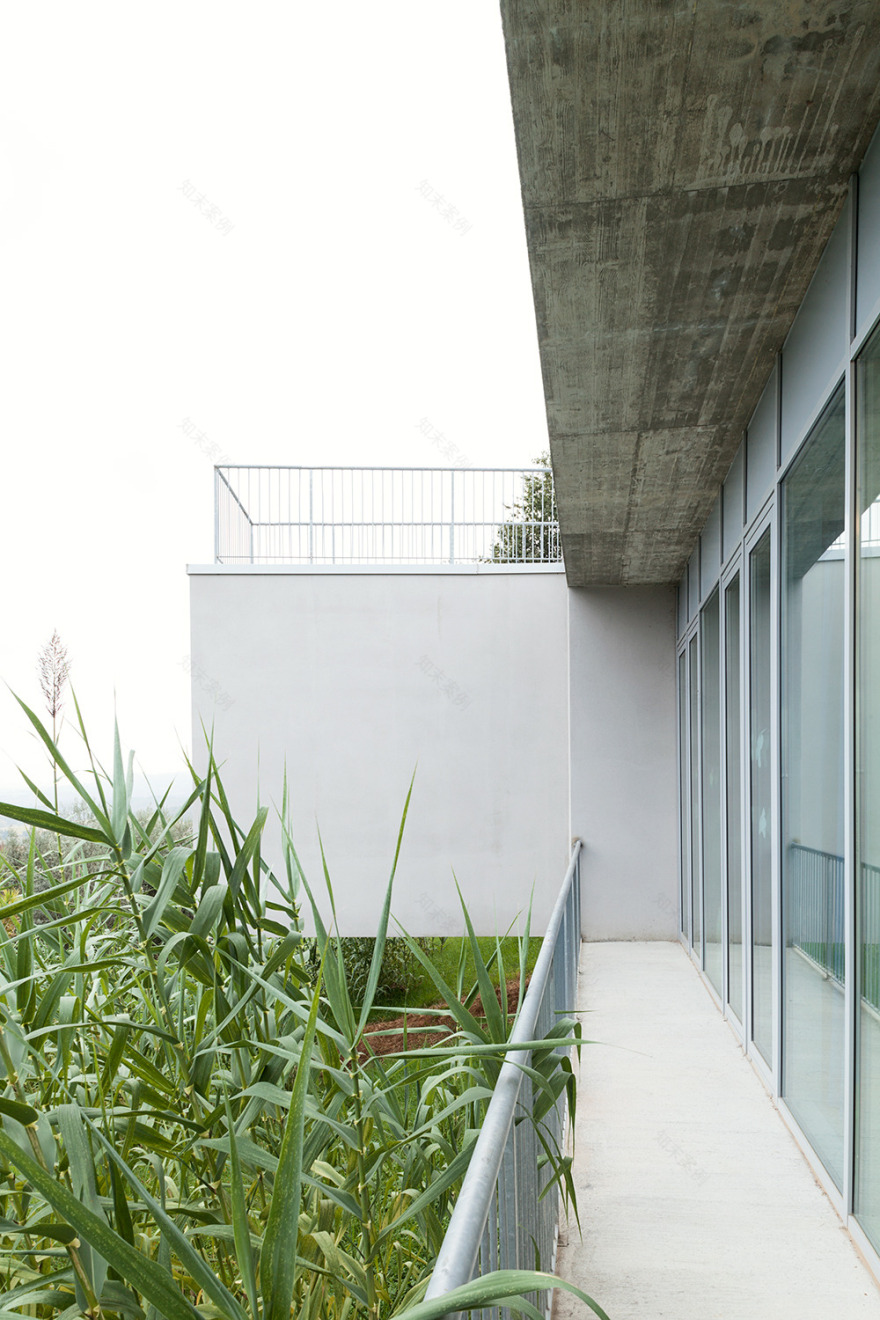 La Balena 幼儿园-18