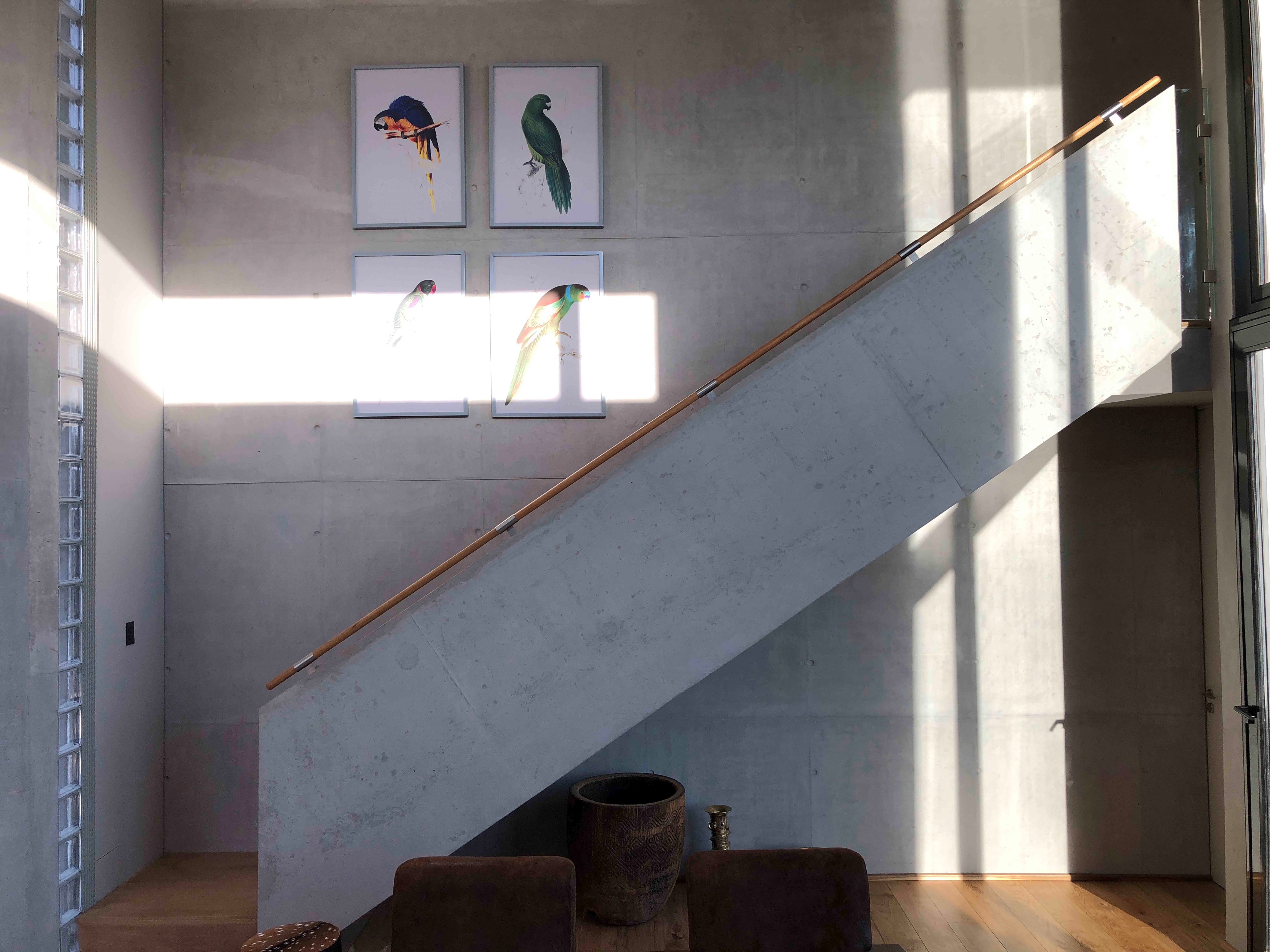 高山葡萄园里的绿色环保别墅-23