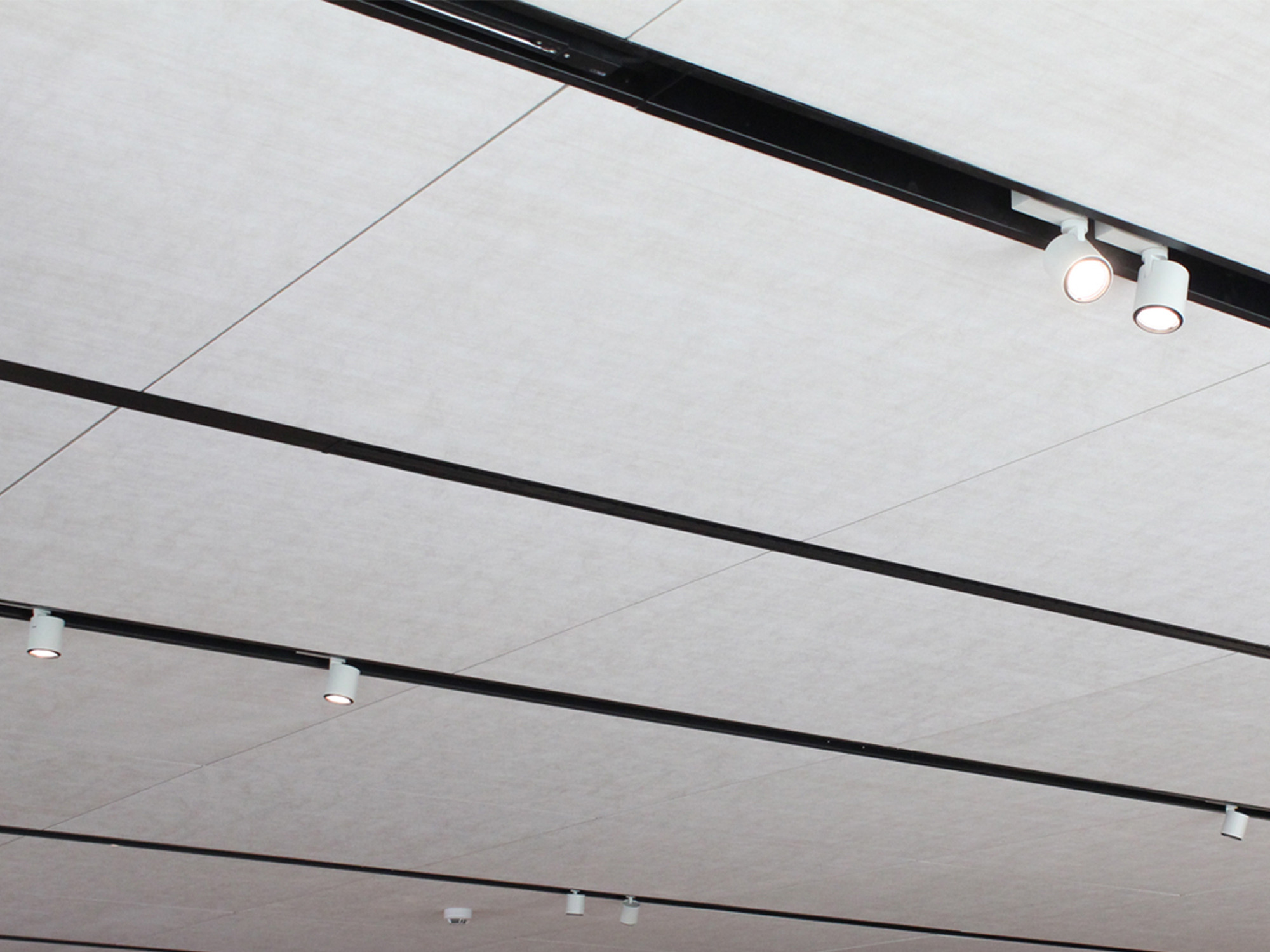 意大利百年餐厅“La Rosina”的现代复兴-22