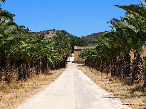 意大利乡村酒庄的复兴 | La Casa del Gelso-1