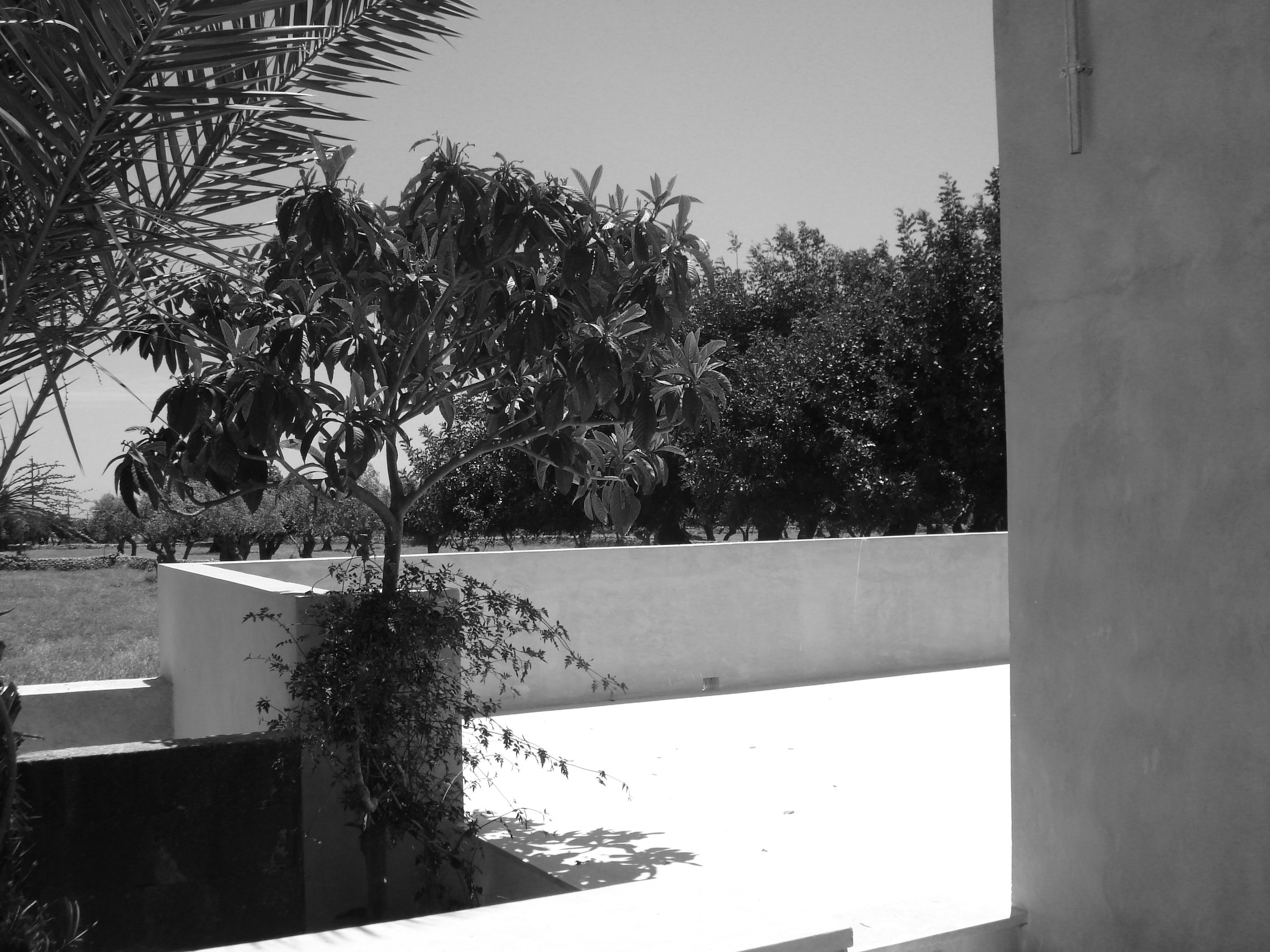 乡村小屋的重生 · Modica 小屋改造记-5