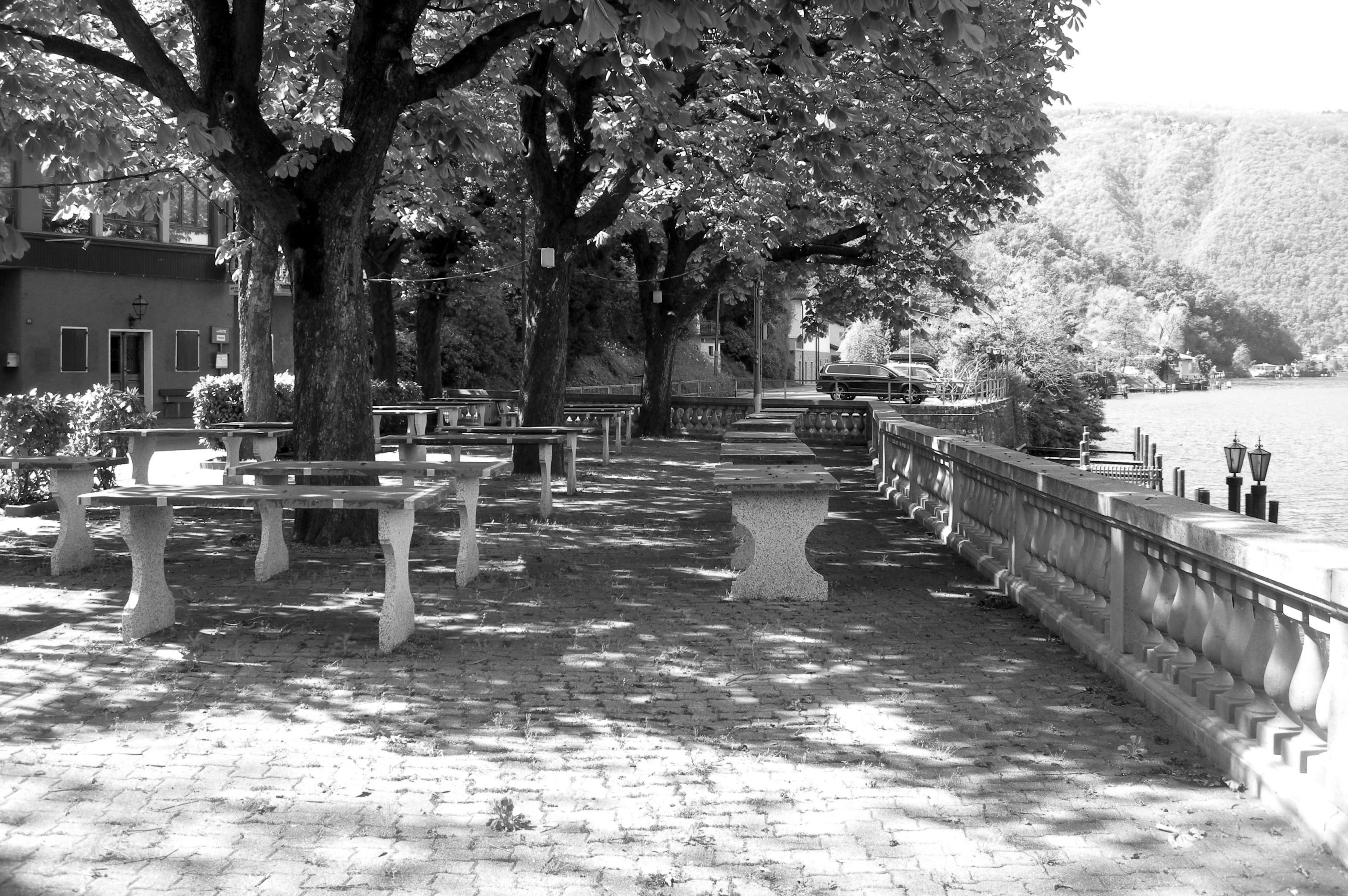 波焦港波加纳餐厅-6