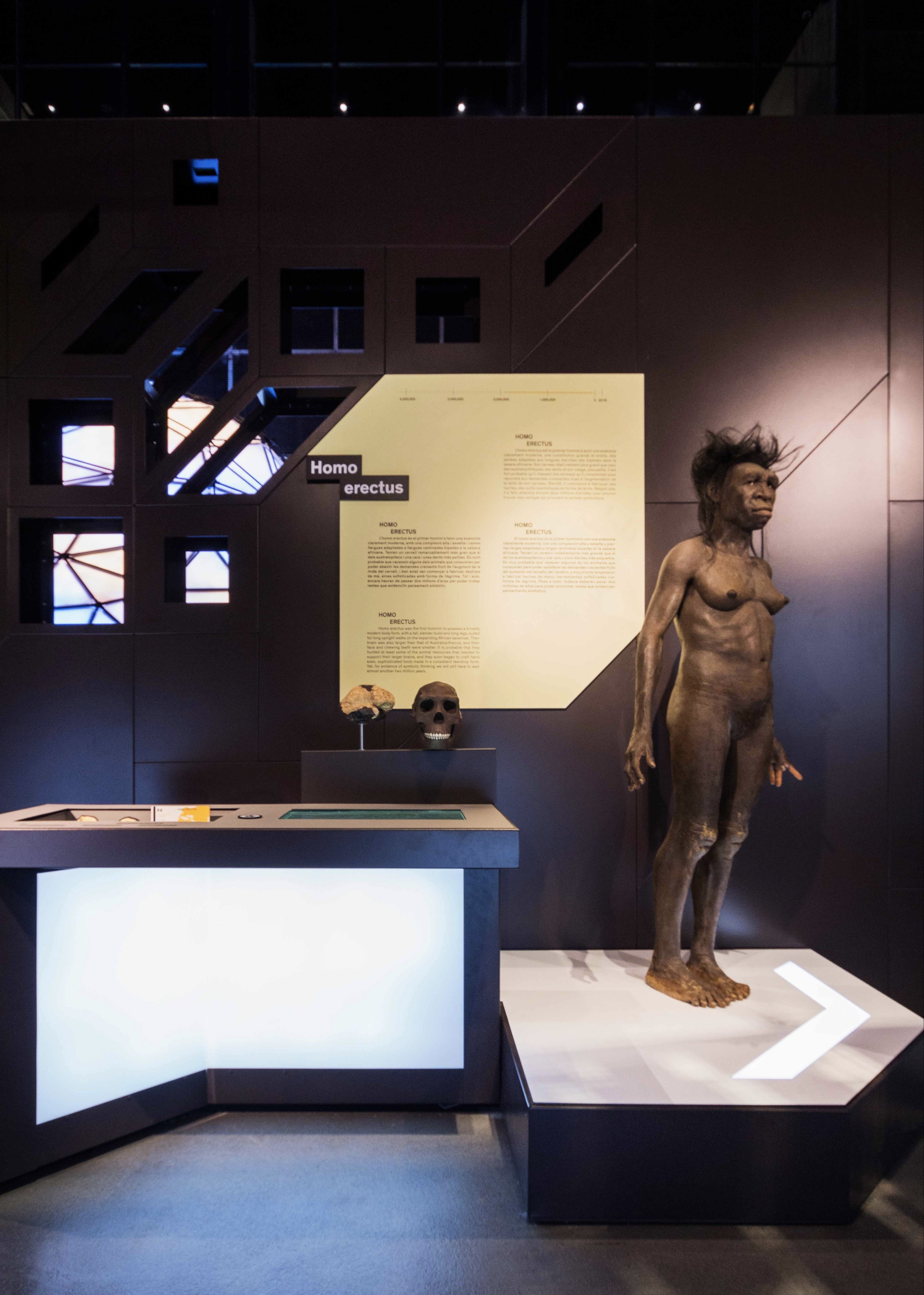 Talking Brains 展览设计-27