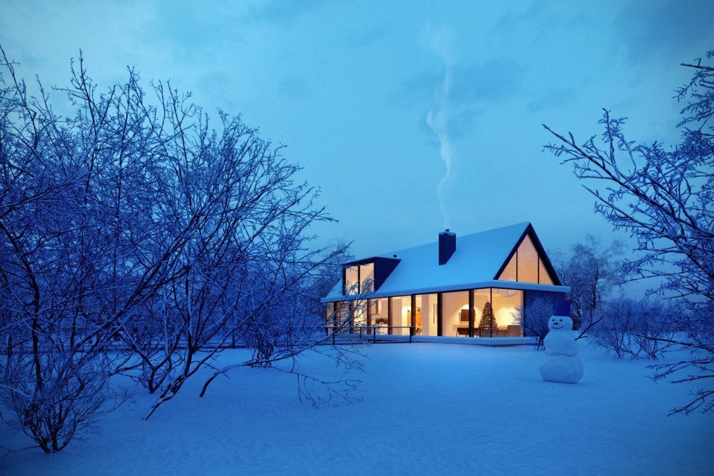 冬日森林中的现代家园-5